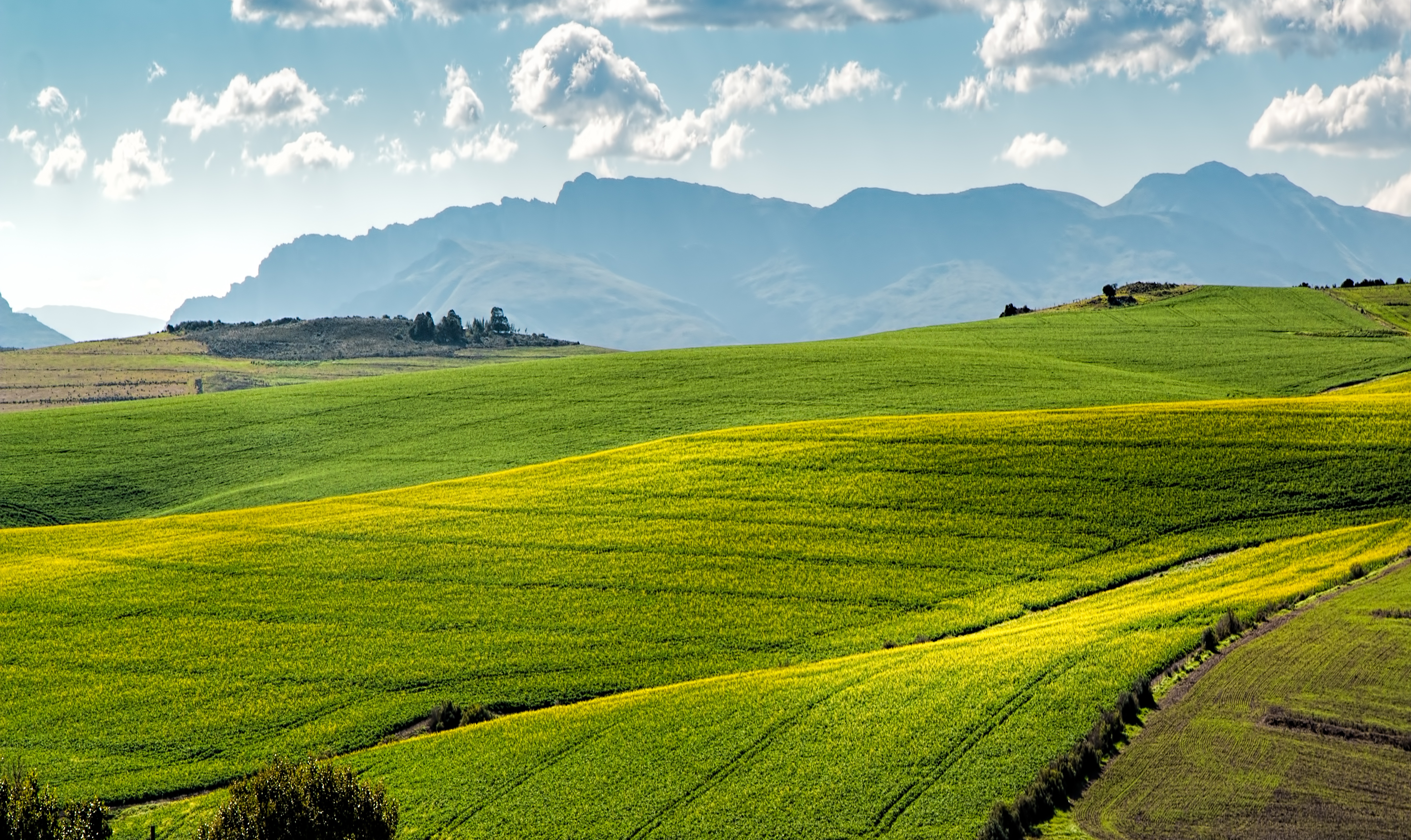 Wallpapers landscape nature grass on the desktop