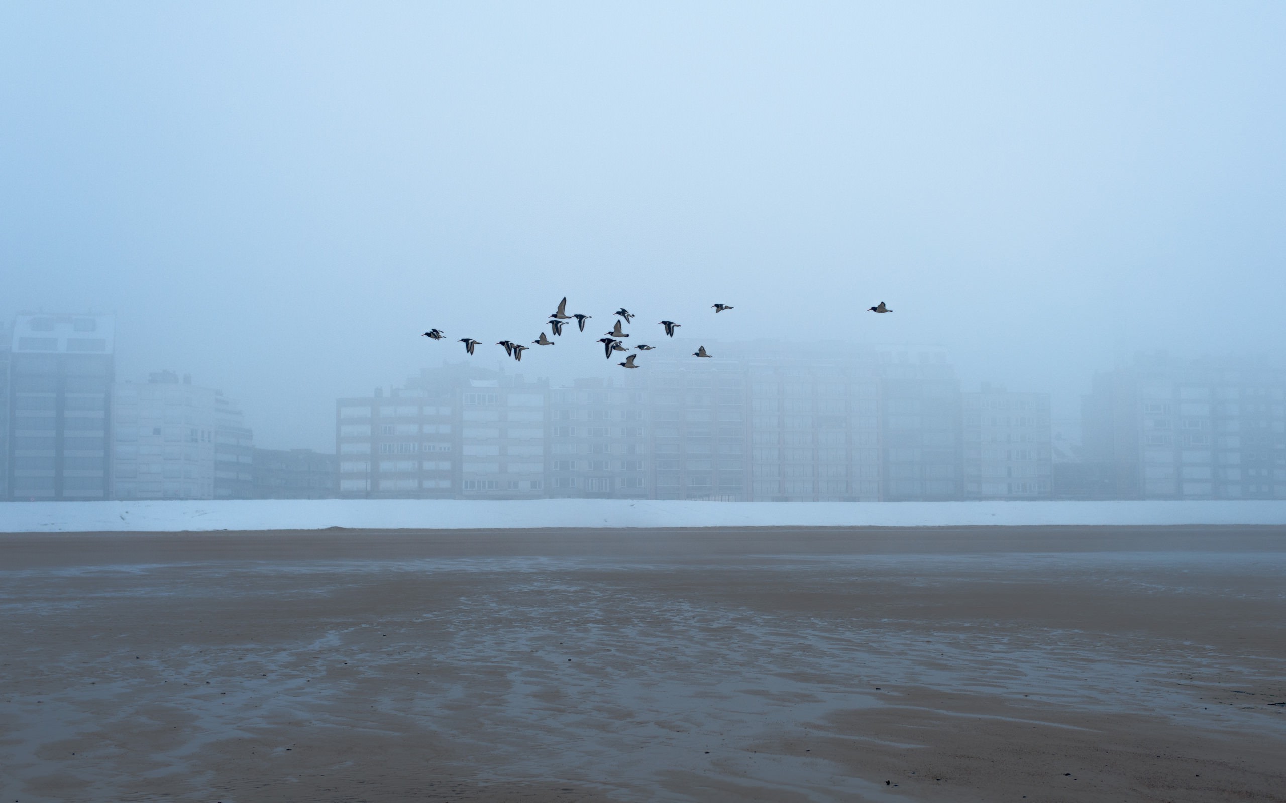 Туманное утро на пляже