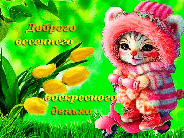 Postcard on the theme florals Kitten tulipany download for free