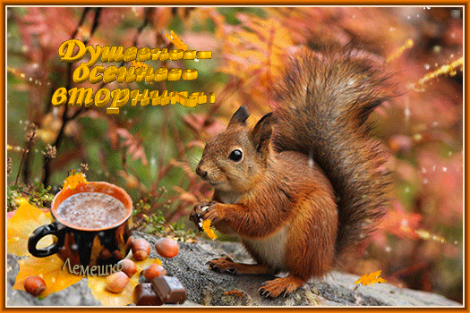 Free postcard To the squirrel for tea