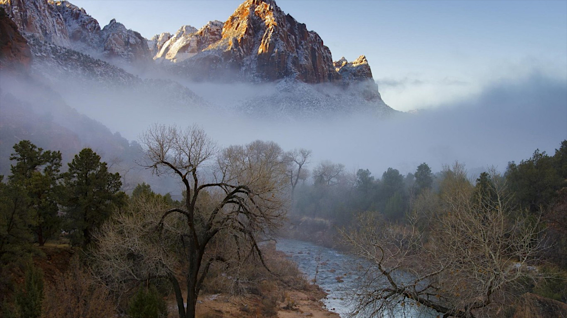 Free photo Foggy morning in the mountains by the river