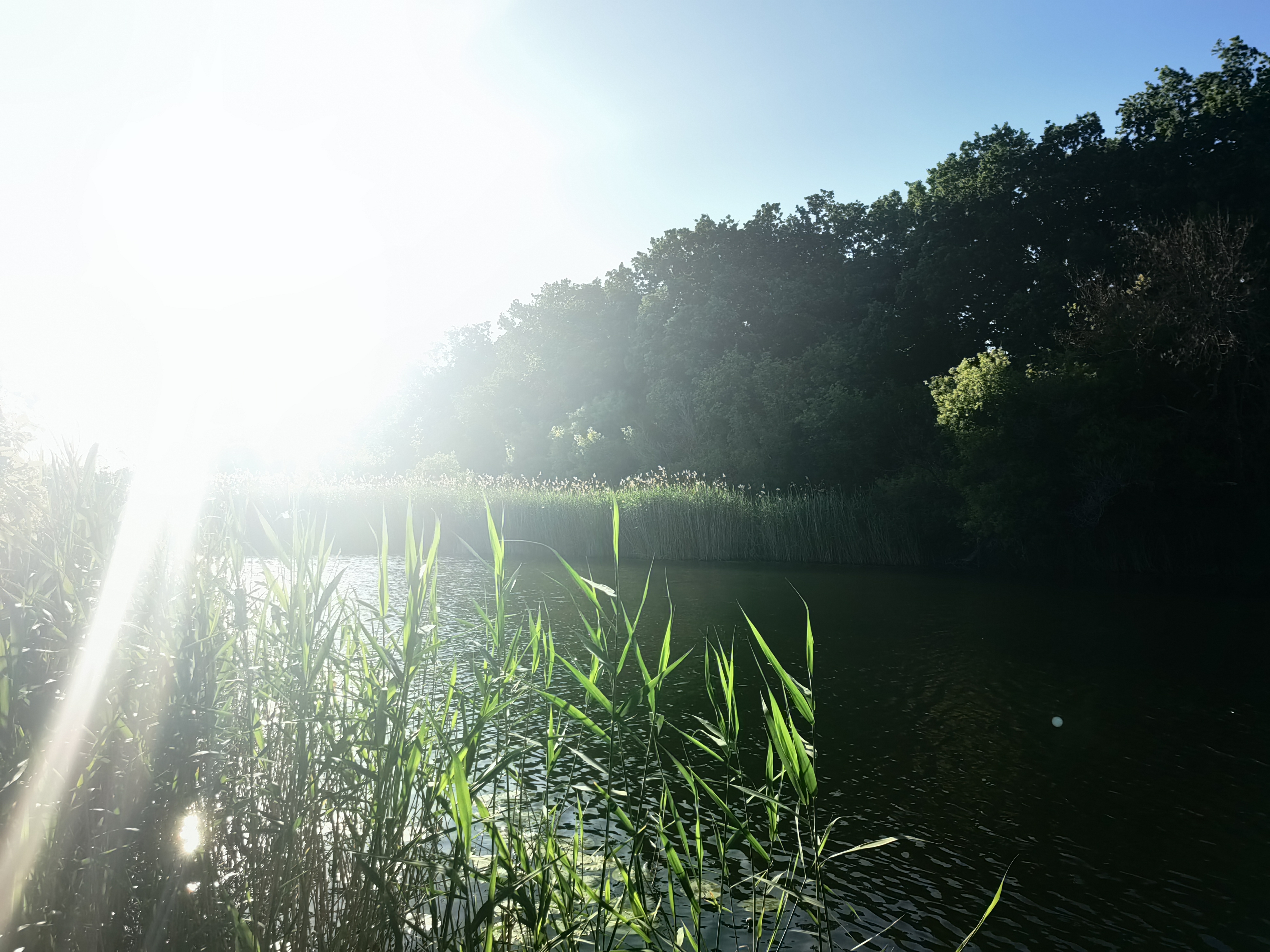 Бесплатное фото Закат на воде