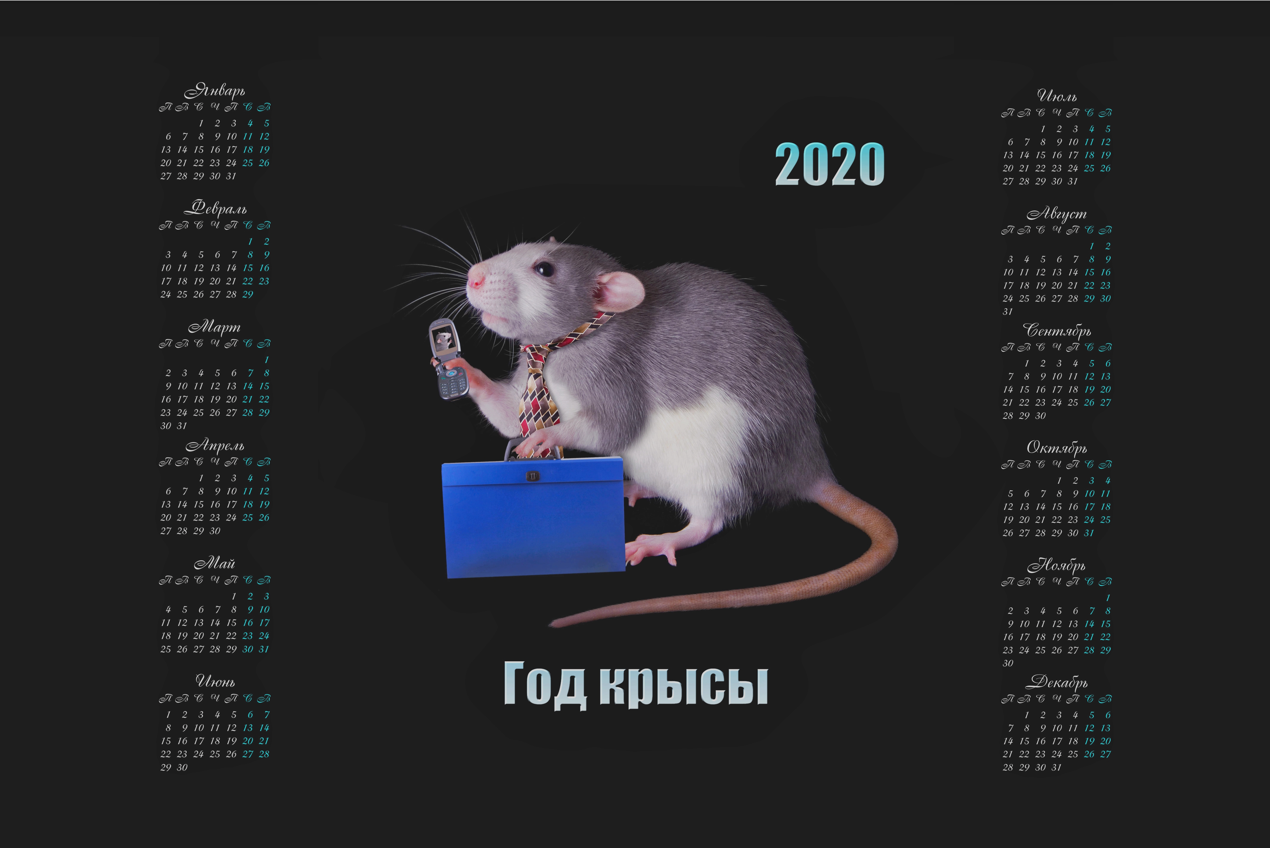2020年老鼠的日历与移动电话