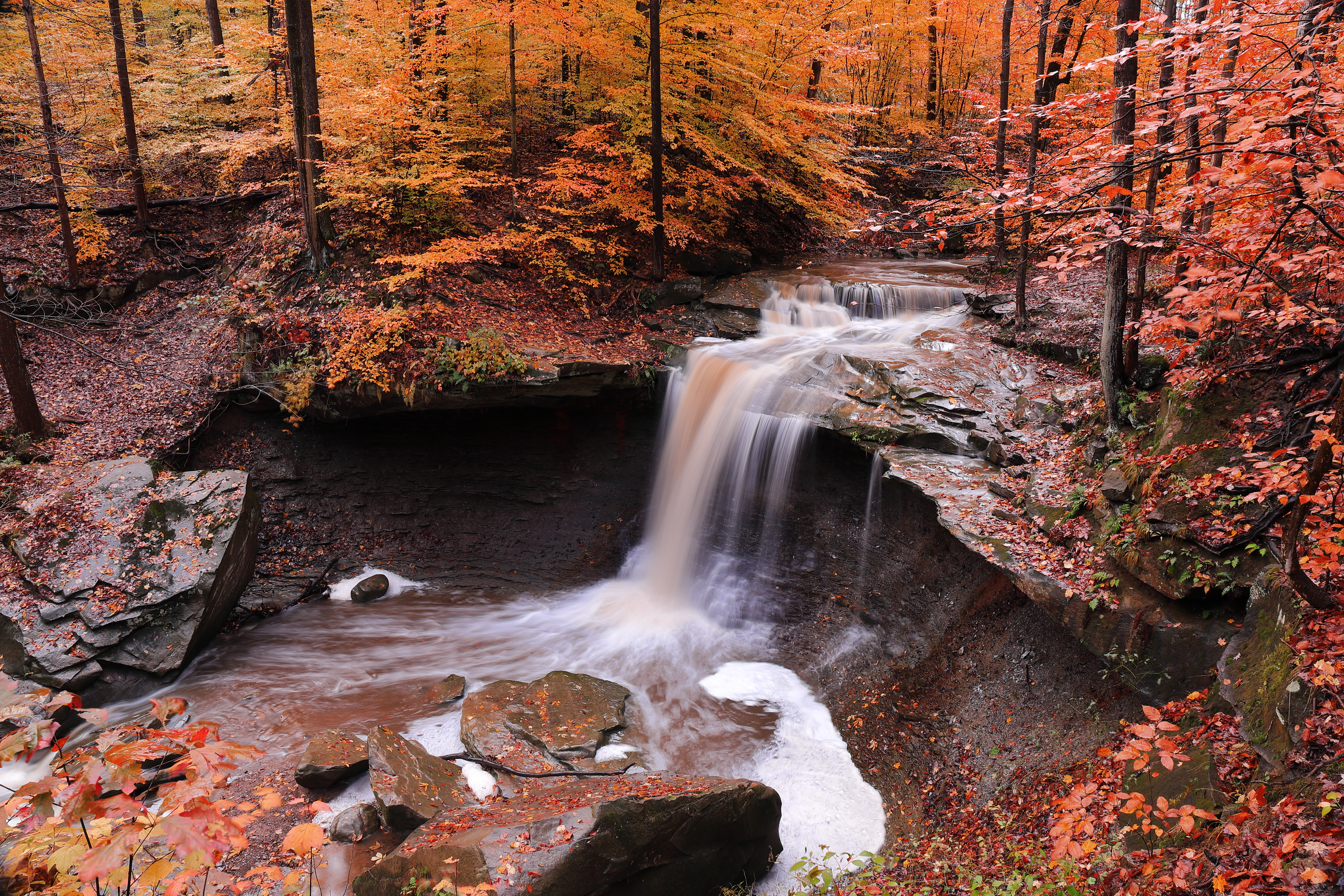 Wallpapers rocks forest autumn colors on the desktop