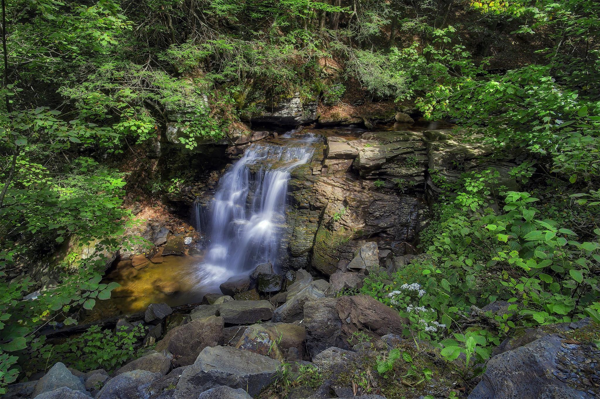 Обои Рикеттс Glen State Park пейзаж деревья на рабочий стол