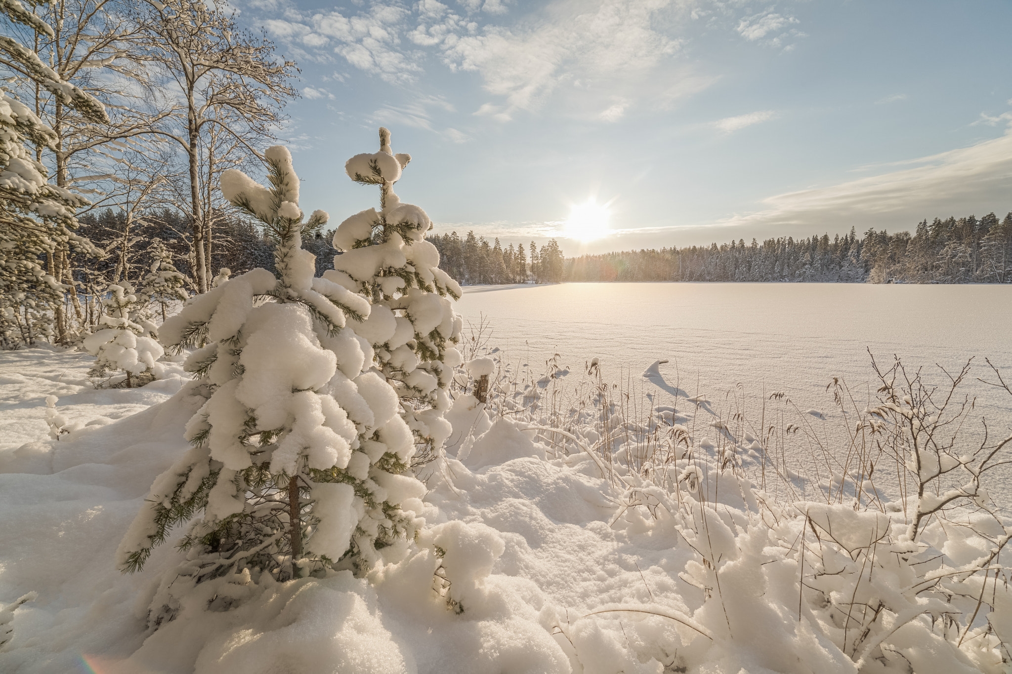 Wallpapers winter Priozersky district nature on the desktop