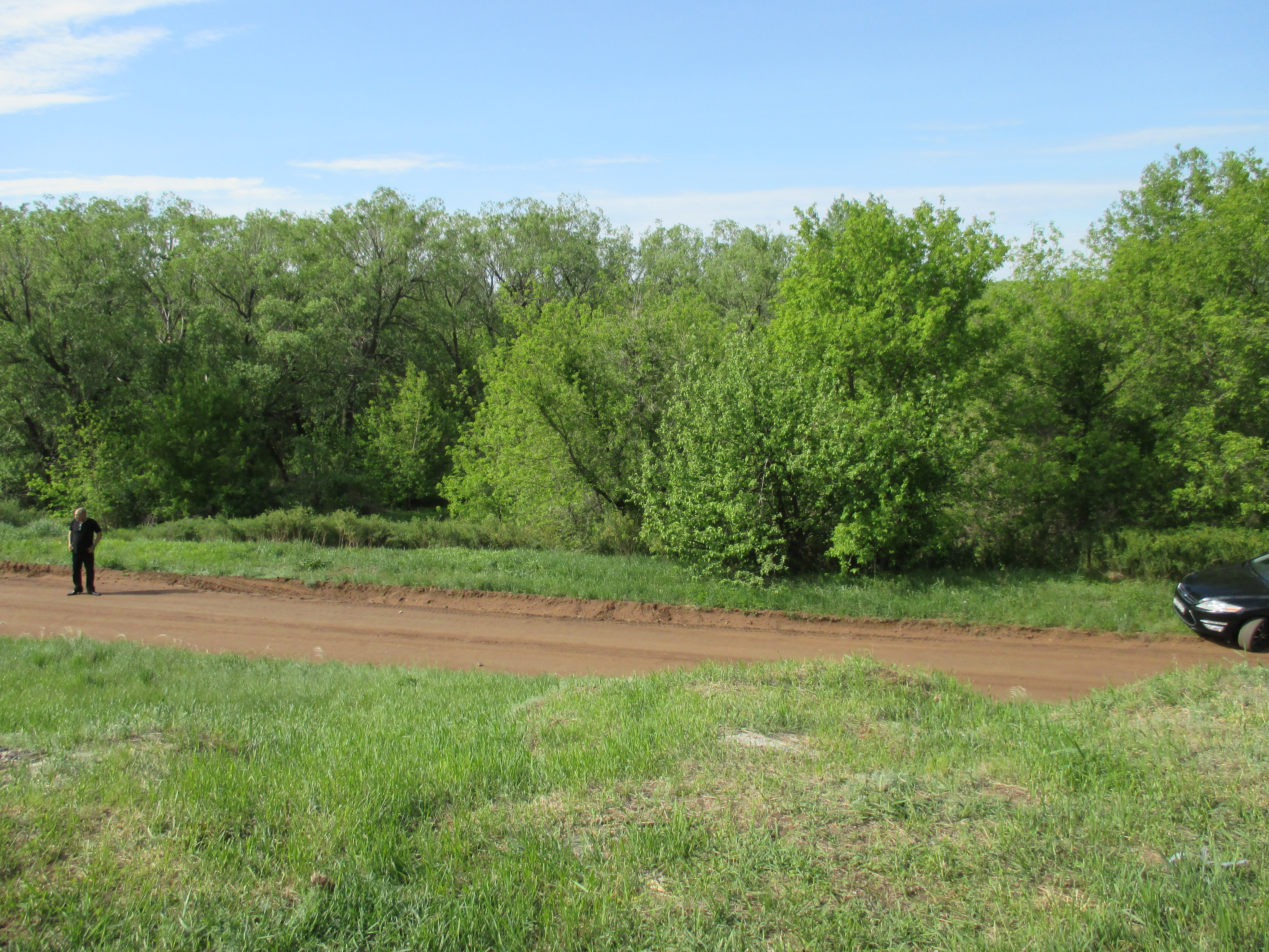 Бесплатное фото Поле - поле