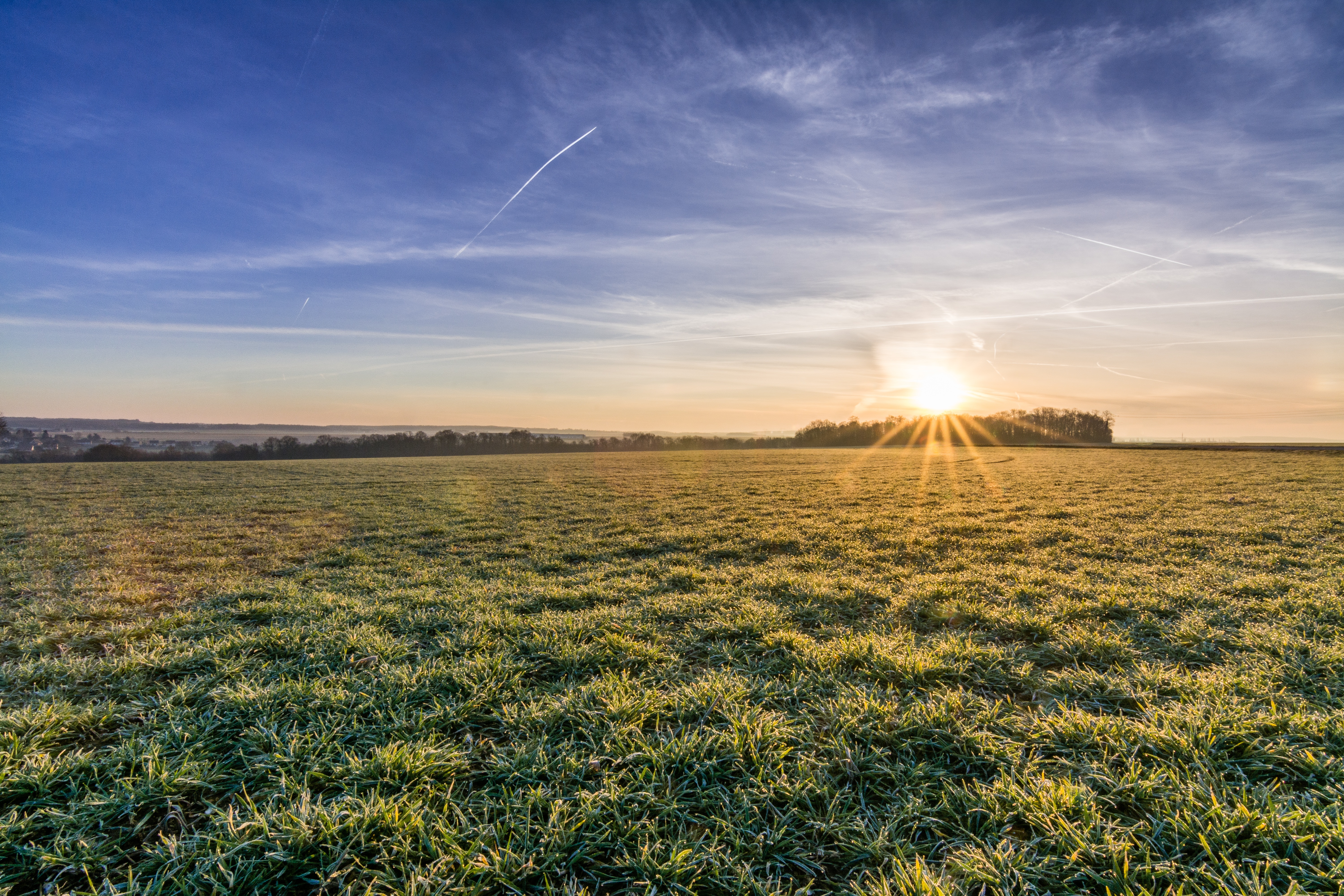 Бесплатное фото Летний восход солнца на поле