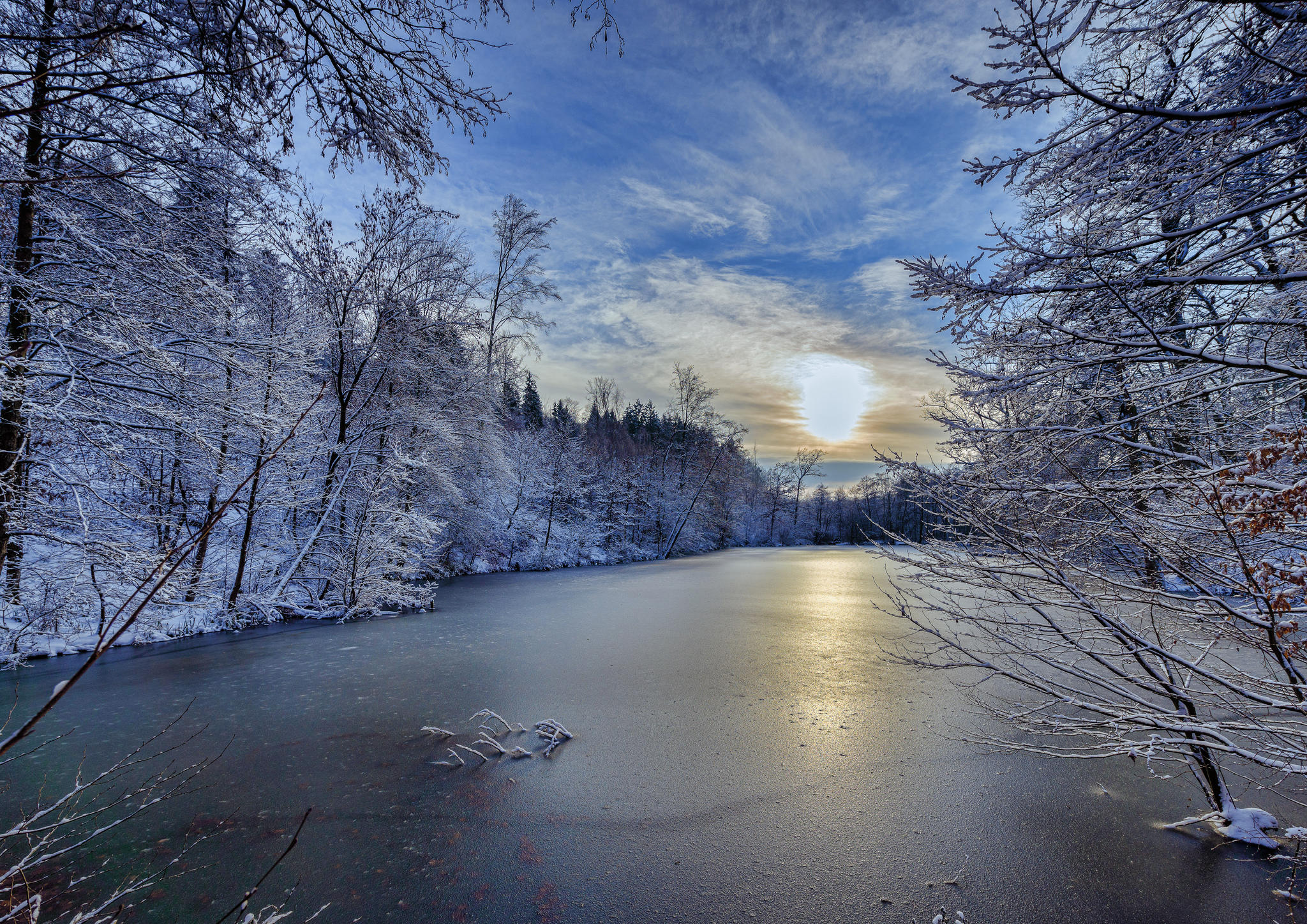 Wallpapers landscape forest trees in the snow on the desktop