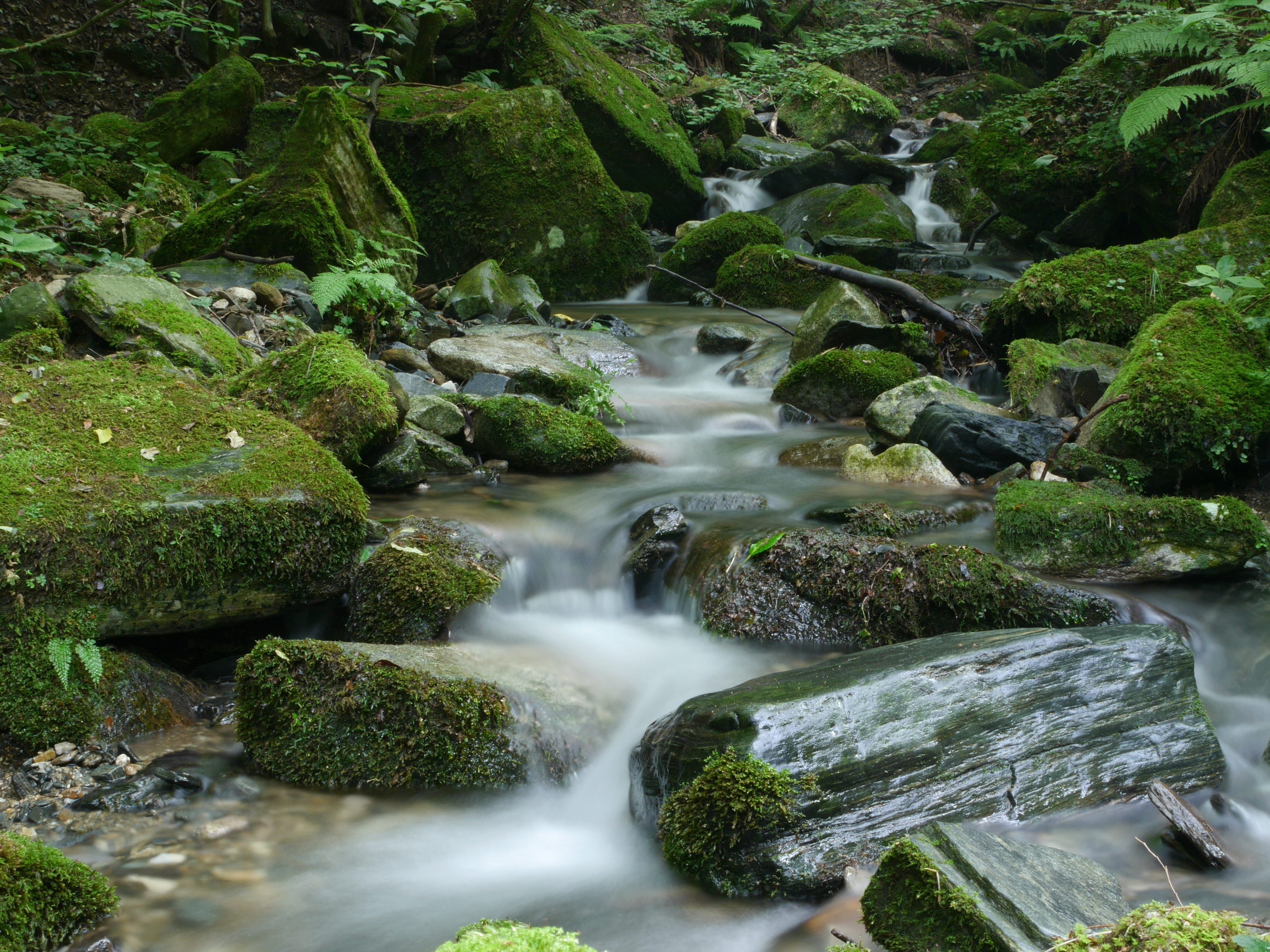 Free photo A river among the rocks