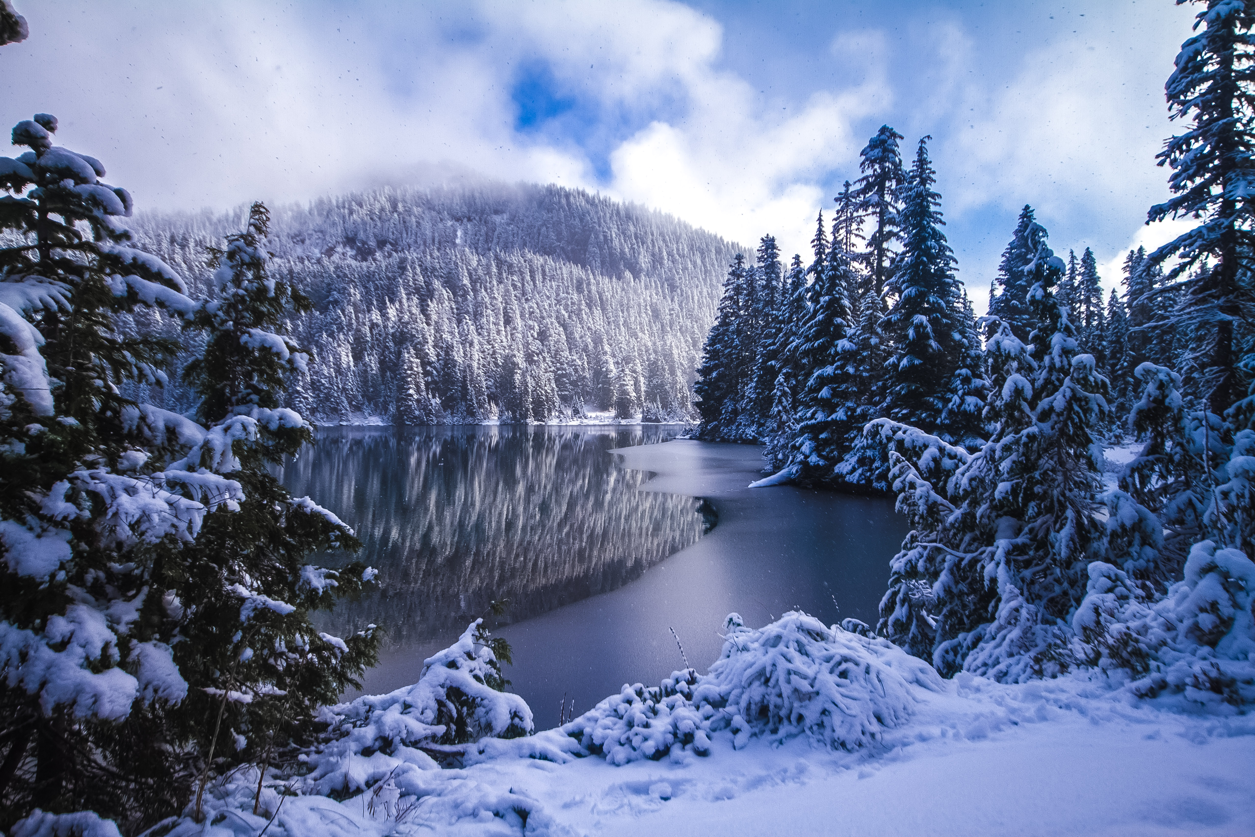 Wallpapers Mowich Lake Mount Rainier National Park Washington State on the desktop