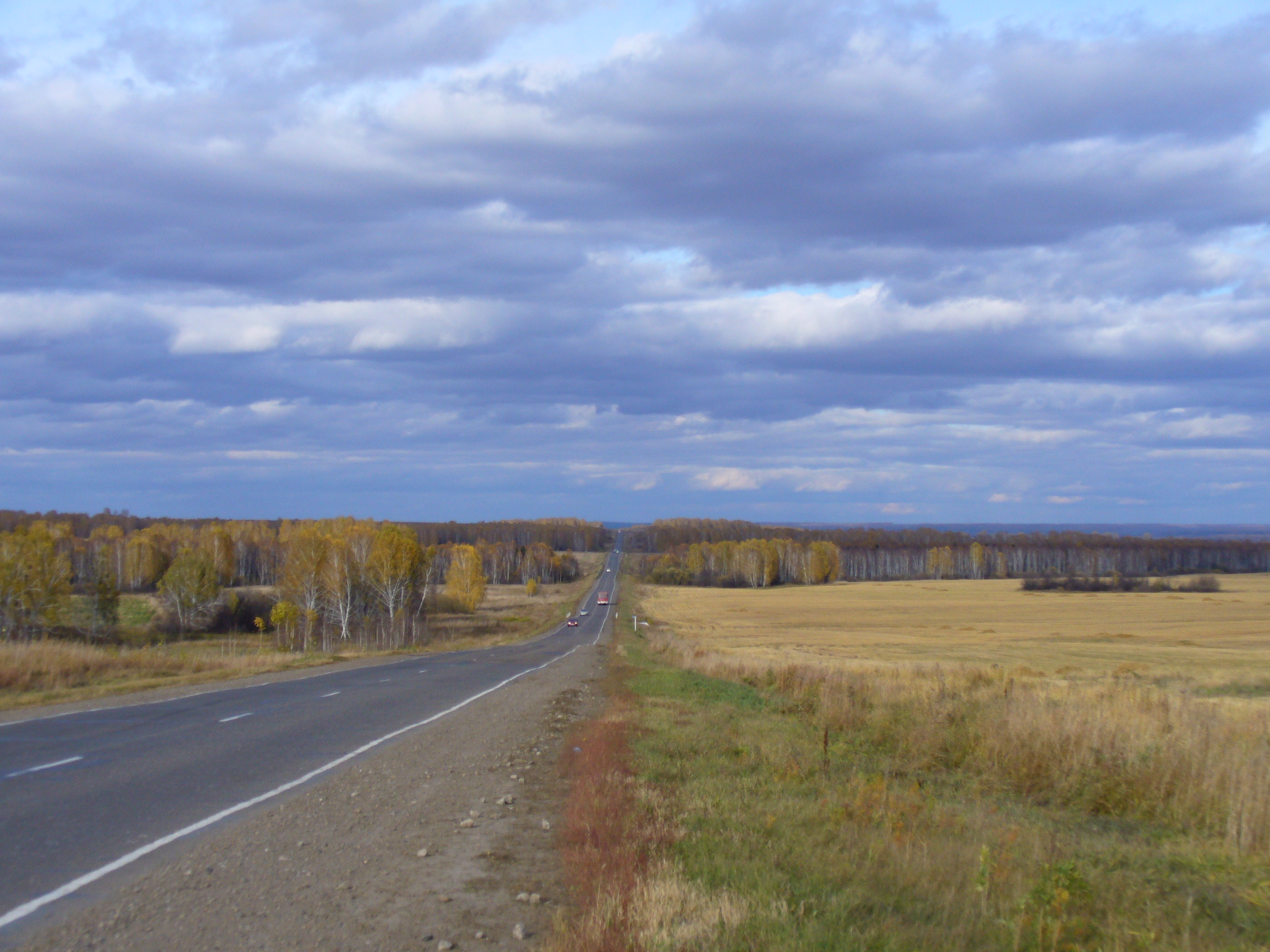 The road between the forest and the field before the rain in the fall