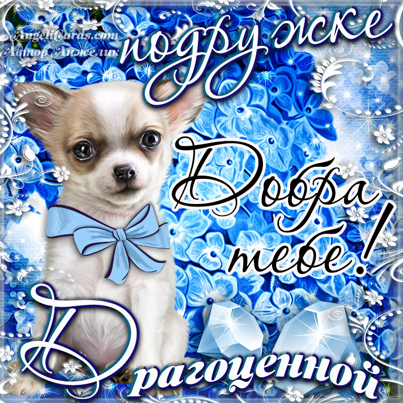 Бесплатная открытка Песик с пожеланием для подружки