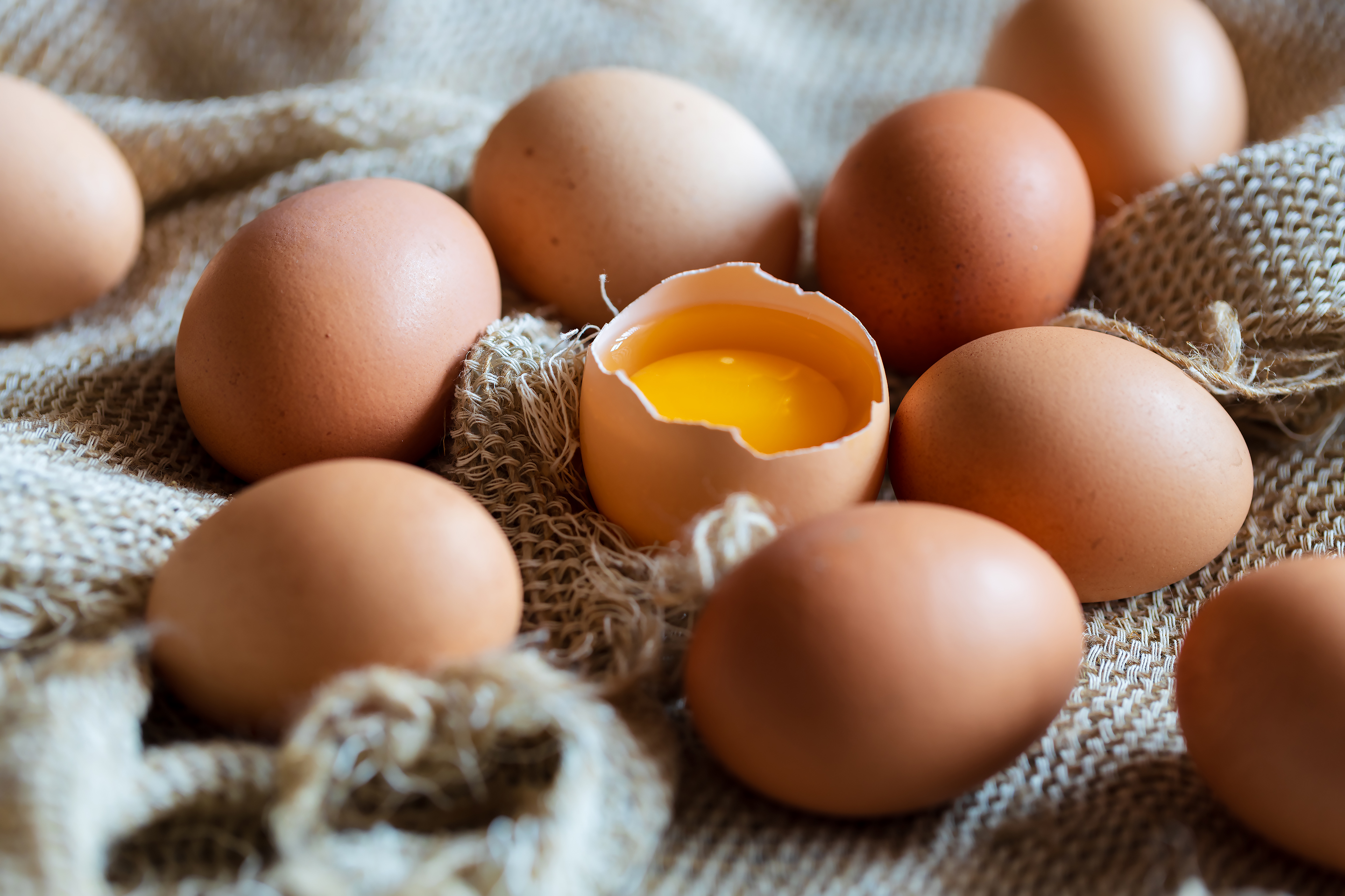 Free photo Chicken eggs on burlap