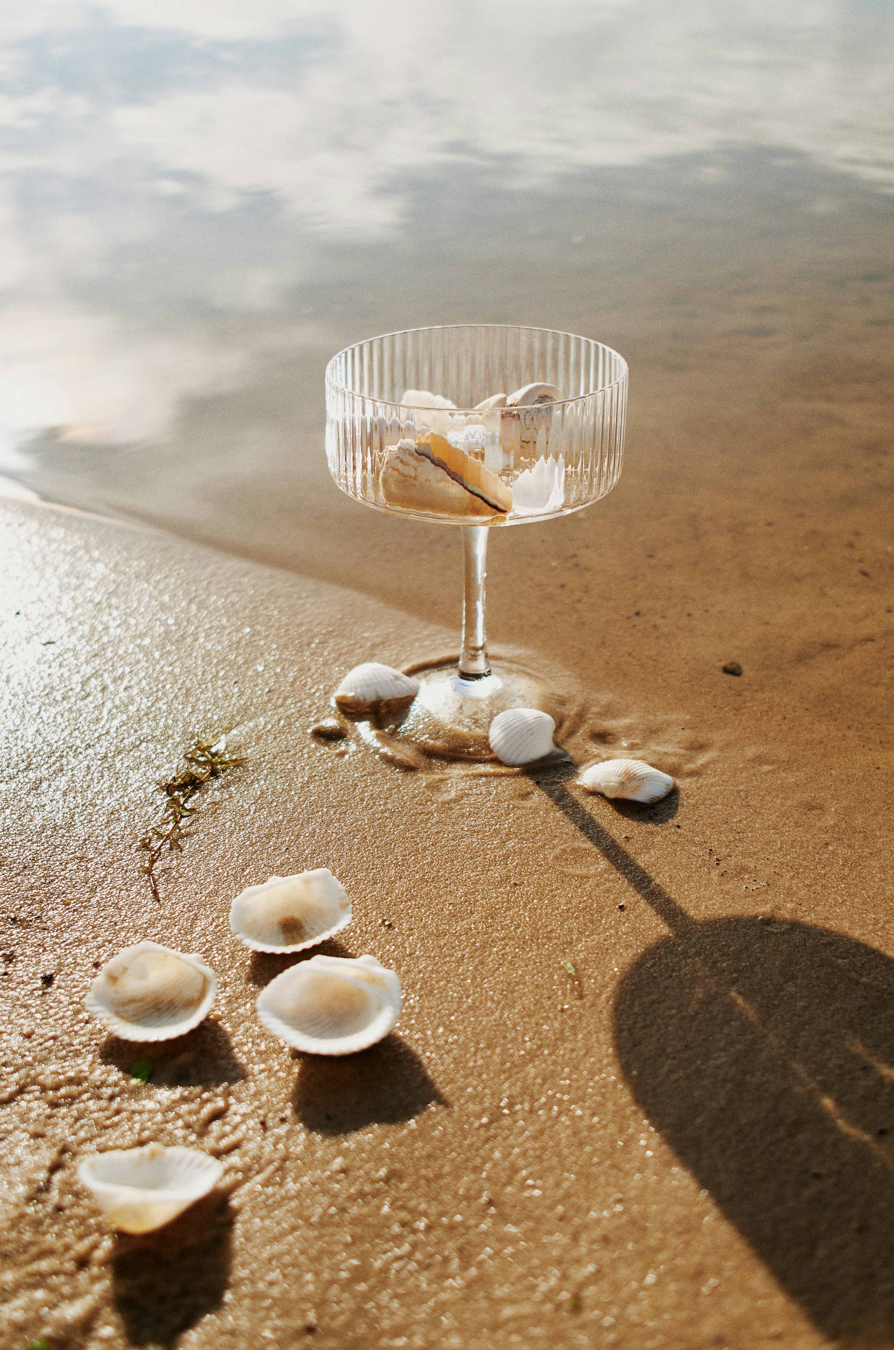 Free photo Vase with seashells on the seashore.