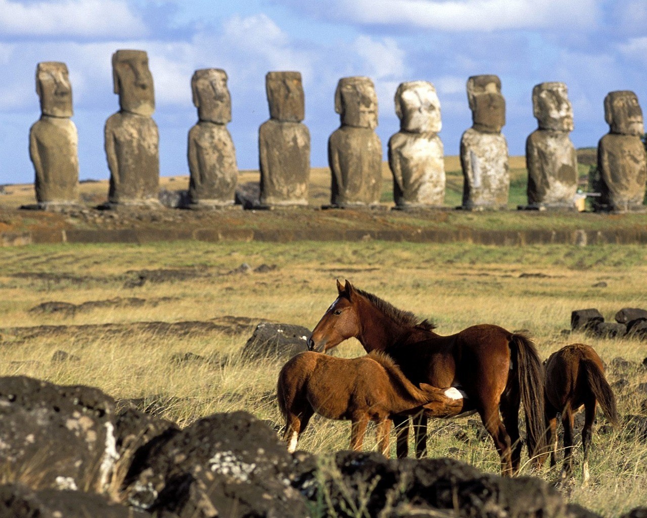 Wallpapers animals horse statue on the desktop