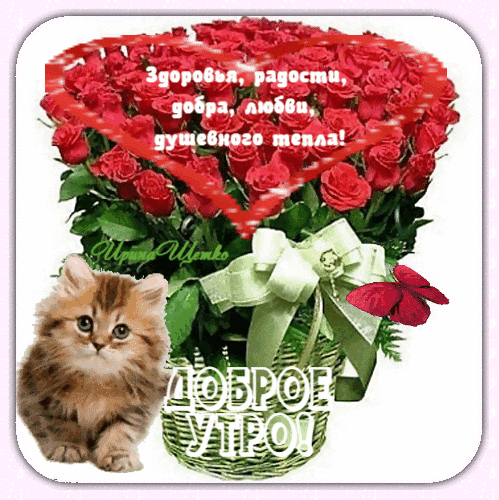 Бесплатная открытка Доброе утро с цветами и котенком