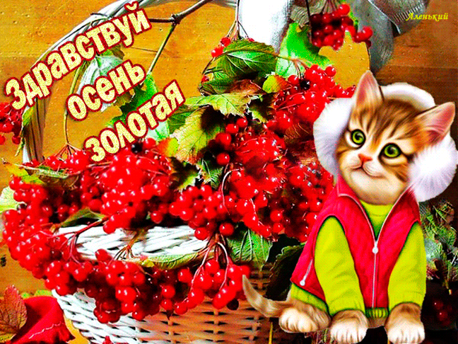 Открытка на тему осень анимация котик скачать бесплатно