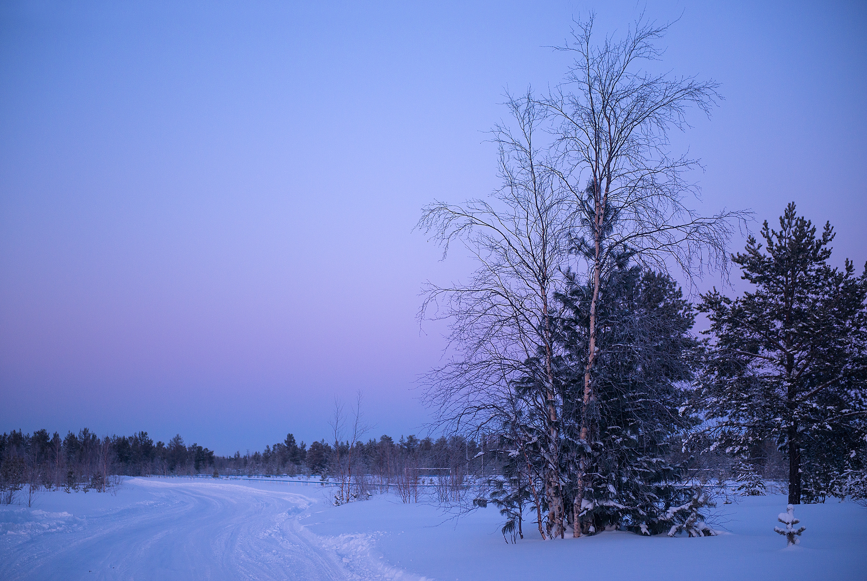 Free photo Download sunset, winter, road