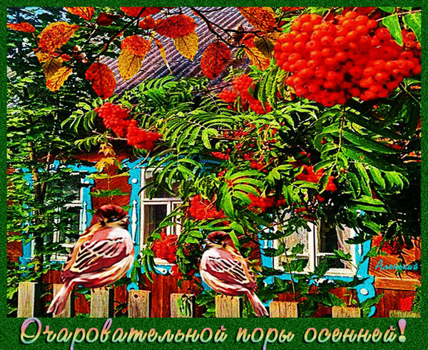 Postcard on the theme birds autumn animation download for free