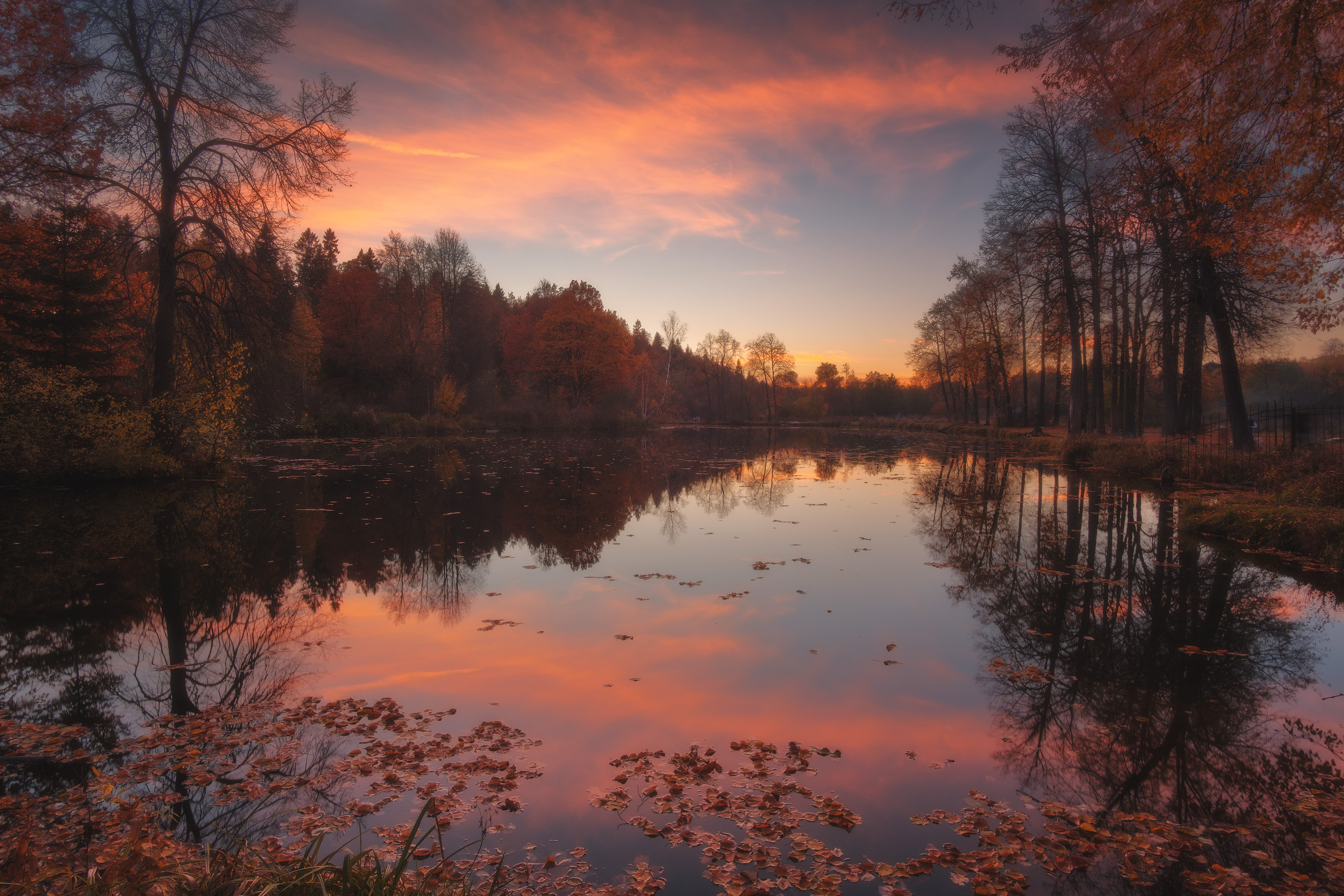 Free photo Near Moscow autumn evening