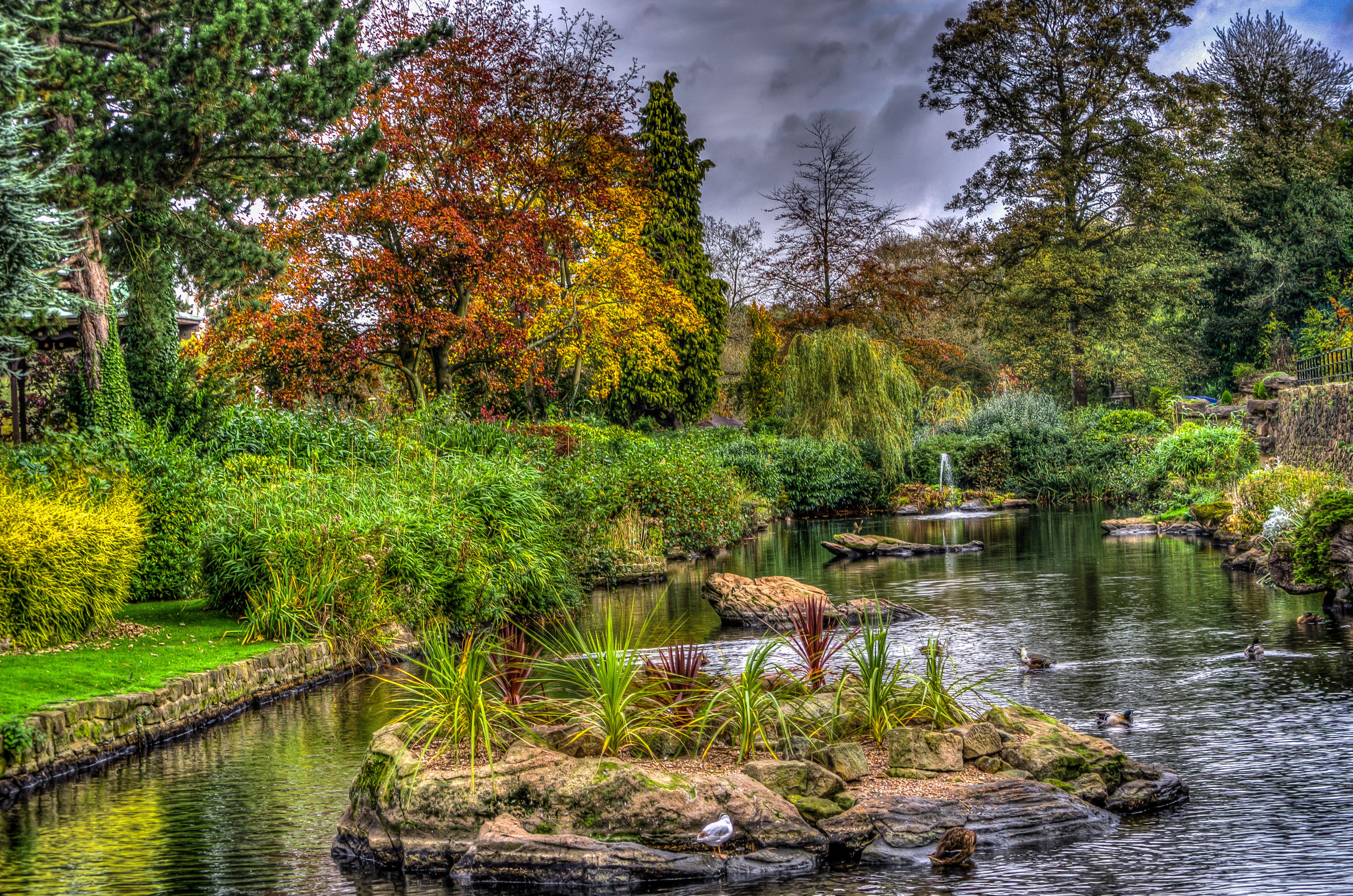 Wallpapers garden park pond on the desktop