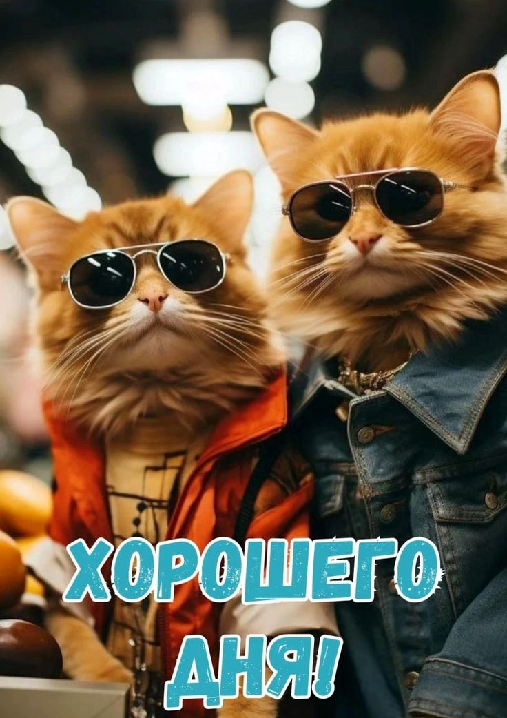 Free postcard Have a nice day: A cool postcard with two stylish cats