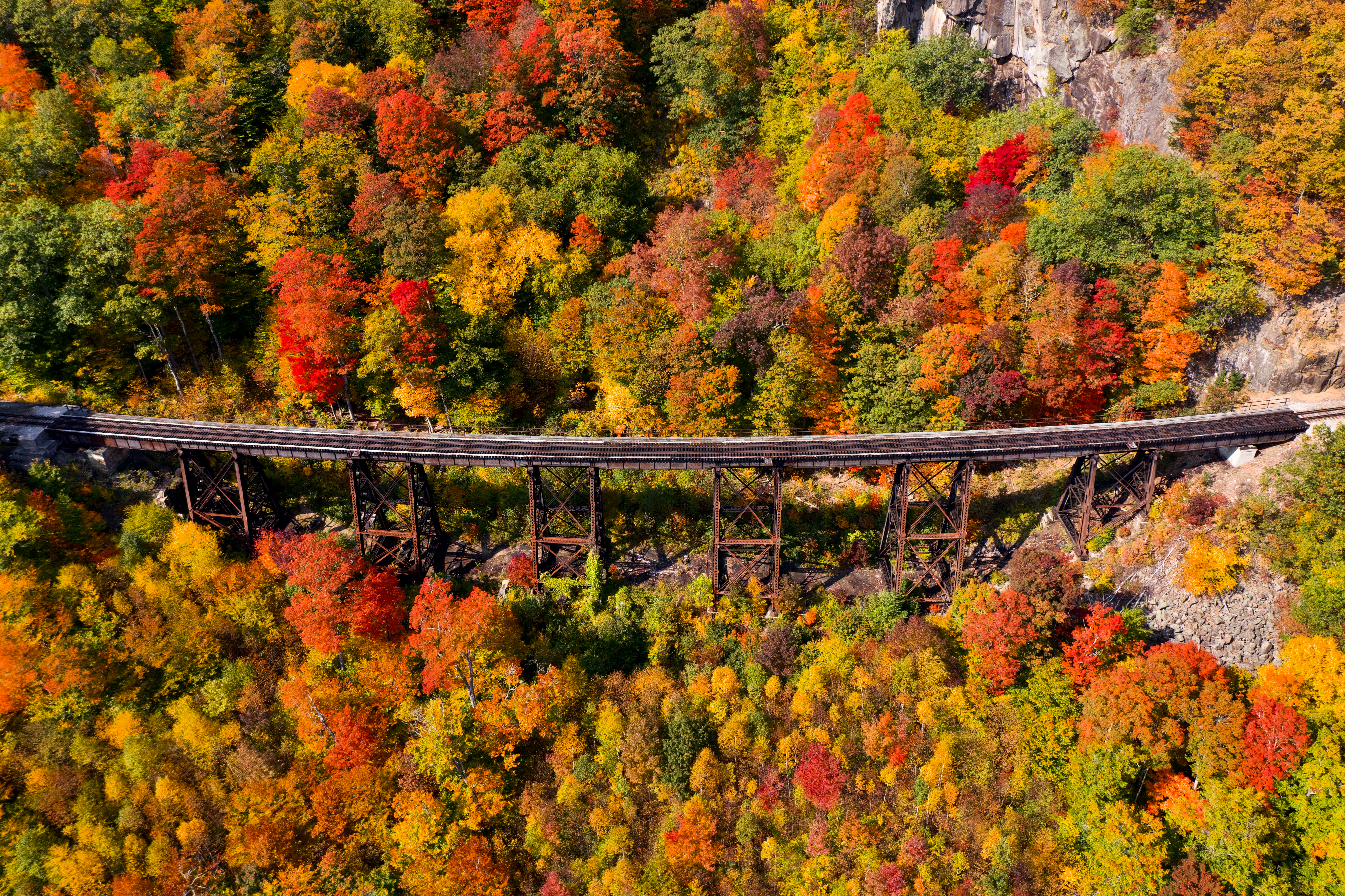 The railroad bridge amidst the fall leaves
