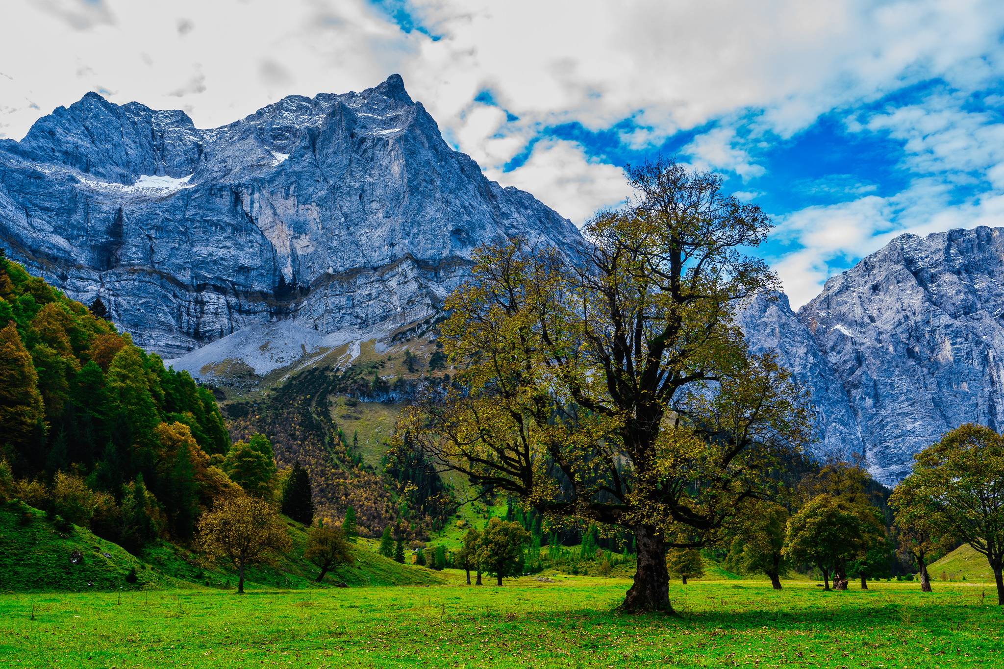 Wallpapers Austria autumn the Big maple land on the desktop