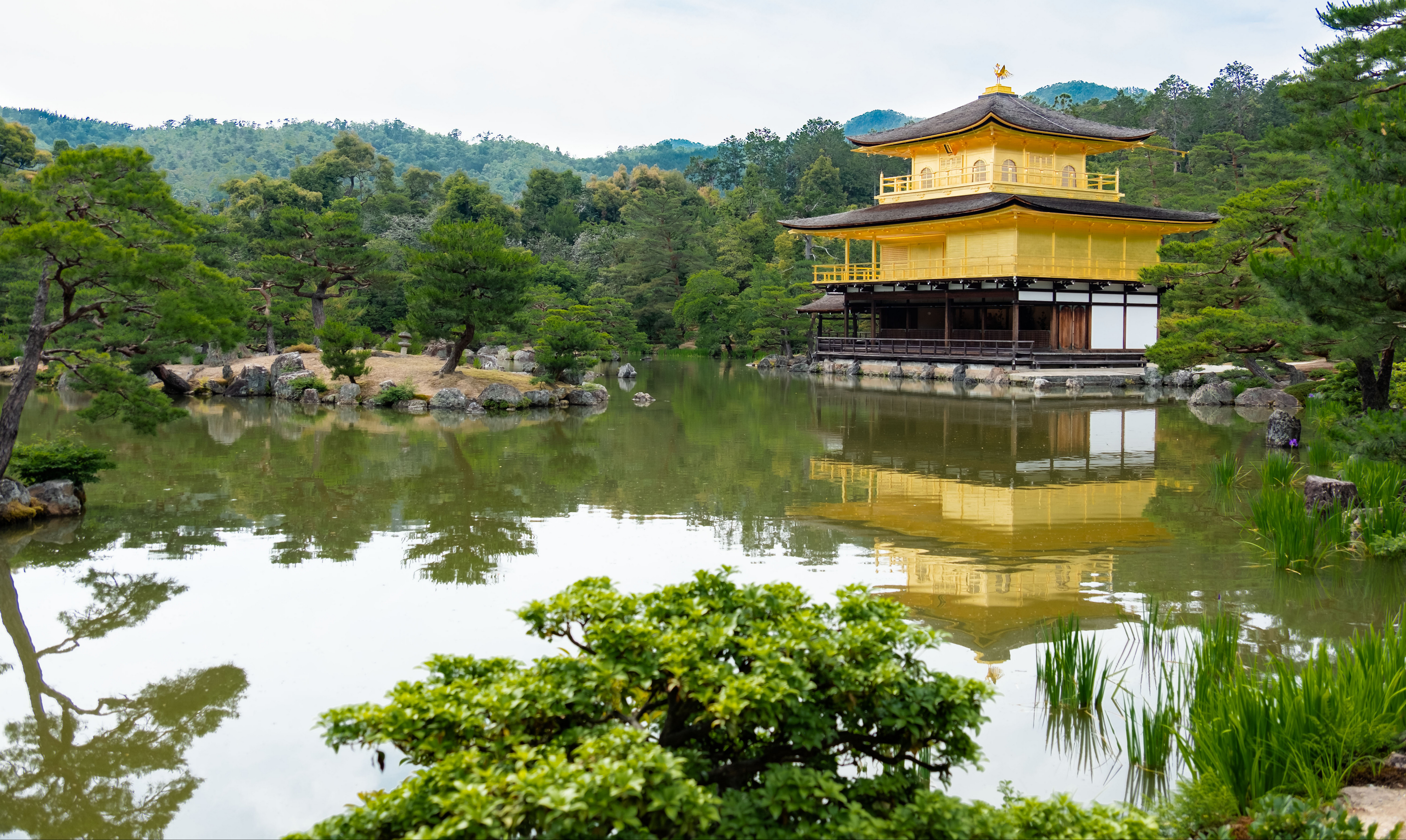 桌面上的壁纸日本 池塘 京都