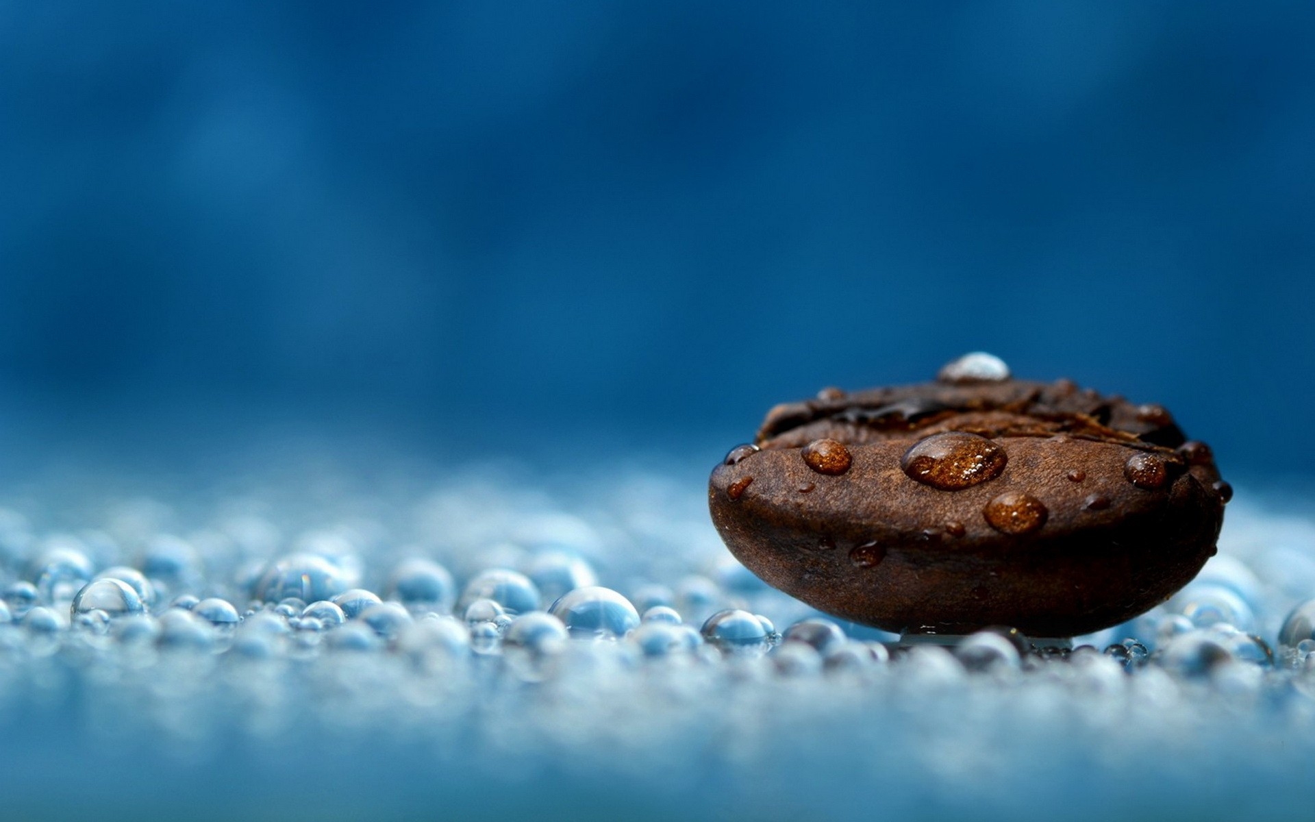 Water droplets on a coffee bean