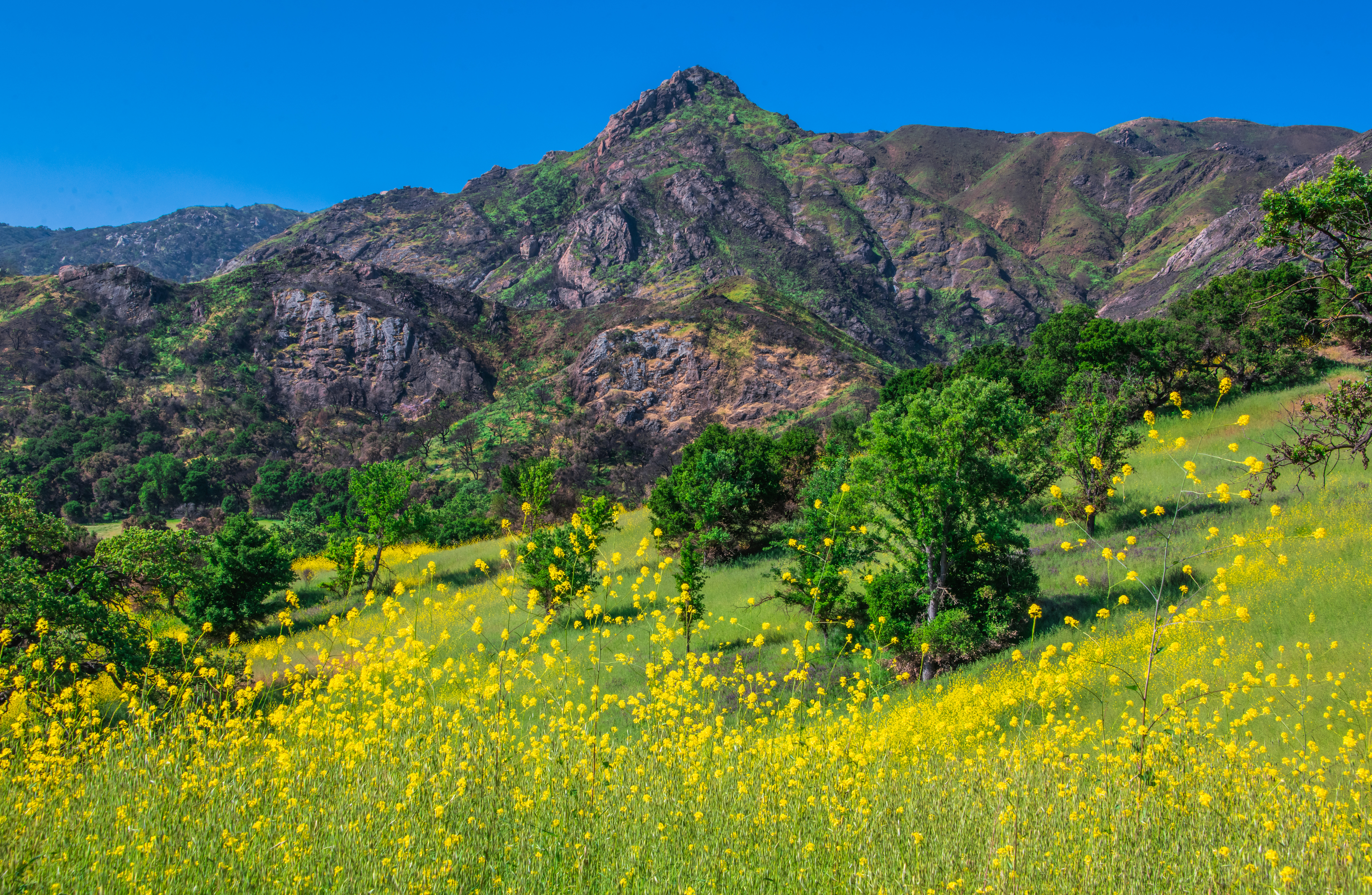 Wallpapers parks california states of the usa mountains on the desktop