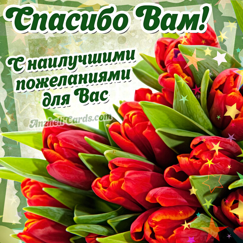 Бесплатная открытка Выражение благодарности с тюльпанами