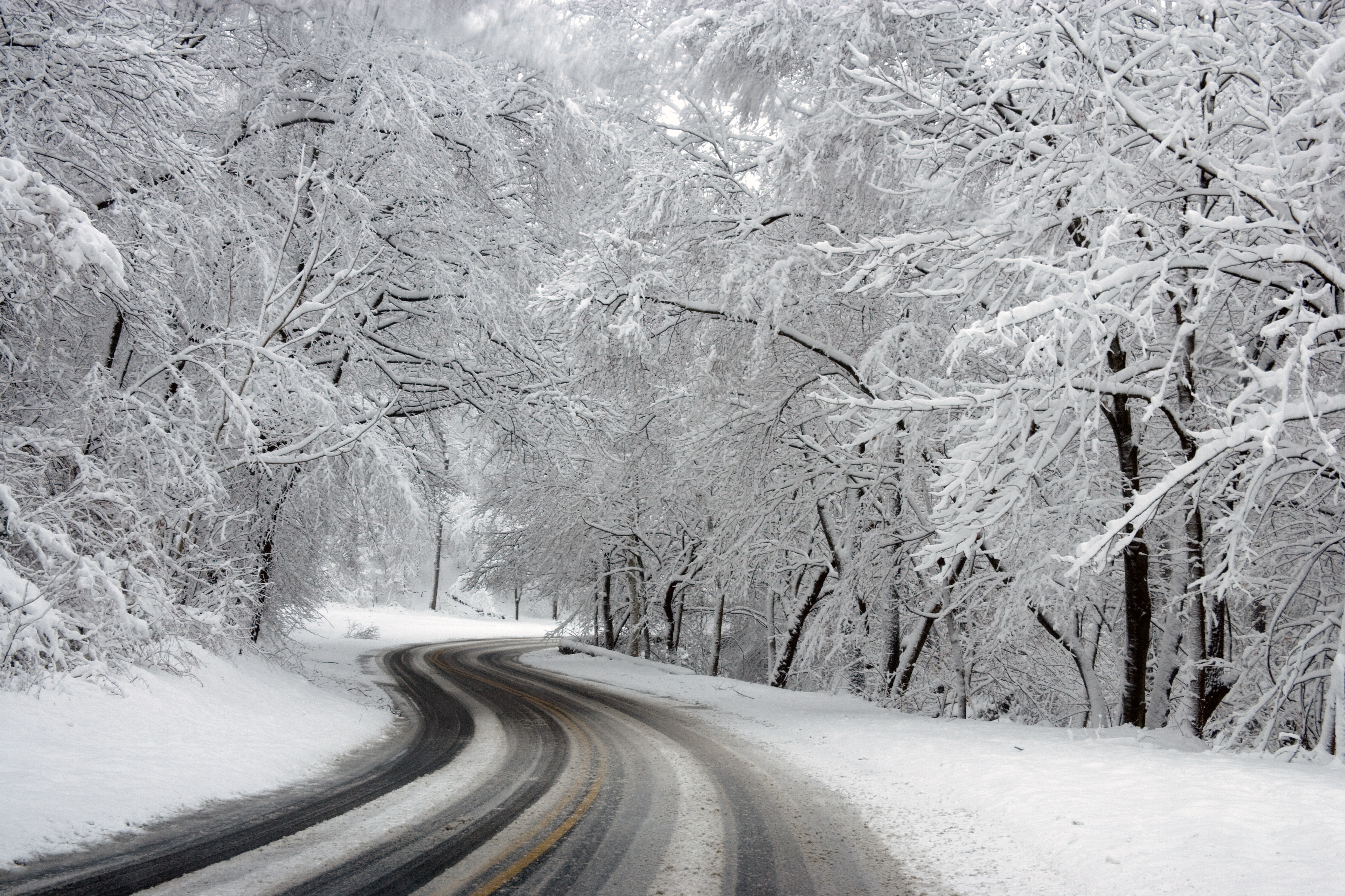 Free photo Winter road in the forest in warm weather