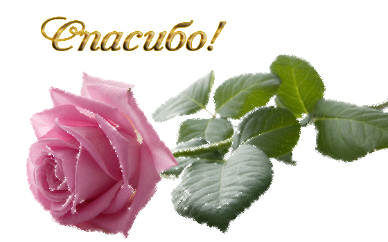 �������� ������� �������� �������� �������� �������� ���� - �������  ��������� �� bradeya