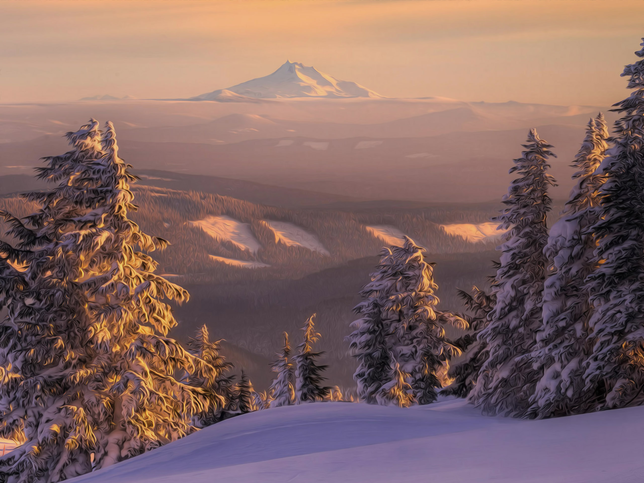 Wallpapers forests landscapes mountains on the desktop