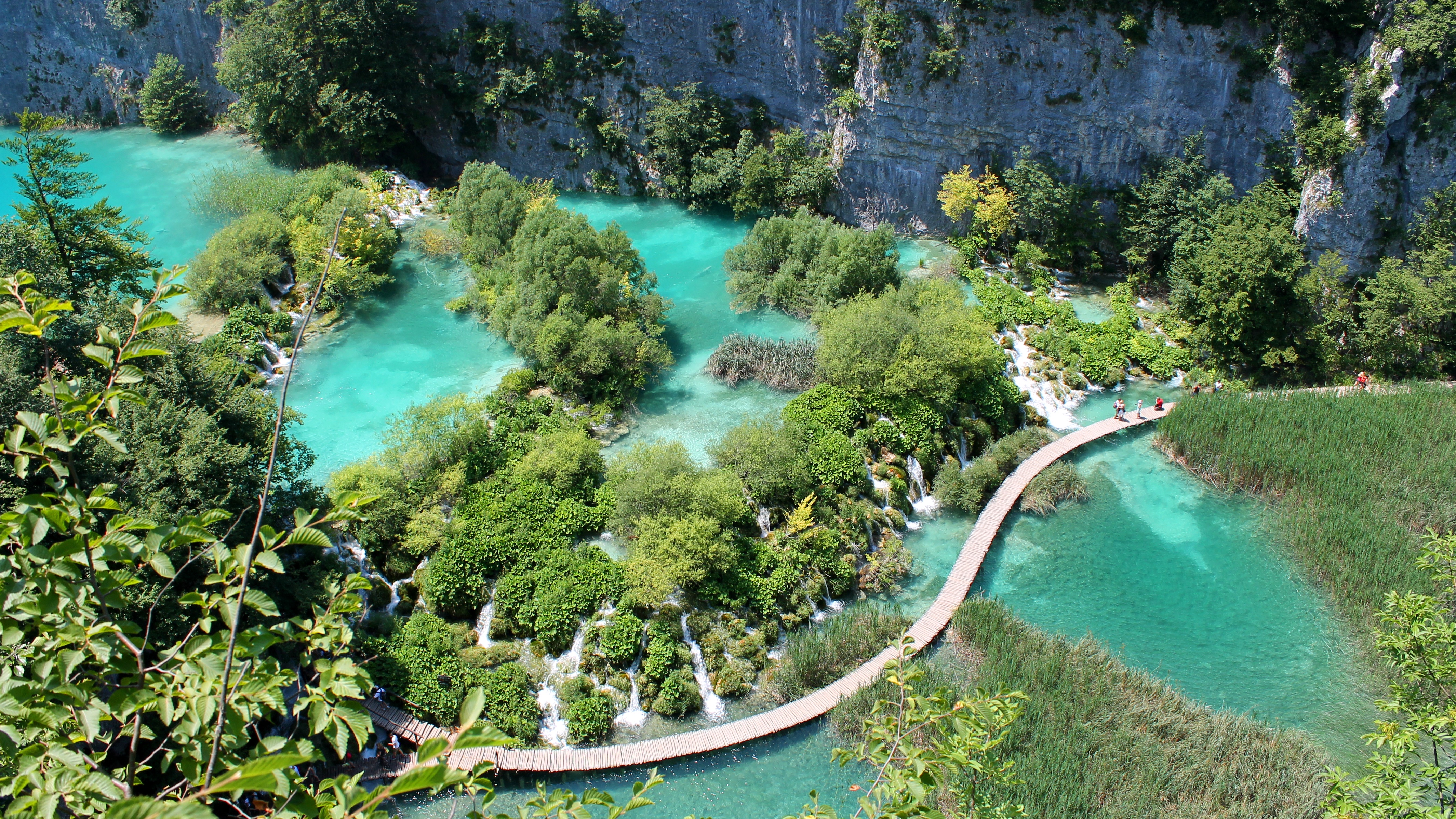 Free photo Jungle bridge dividing the lake into two parts top view