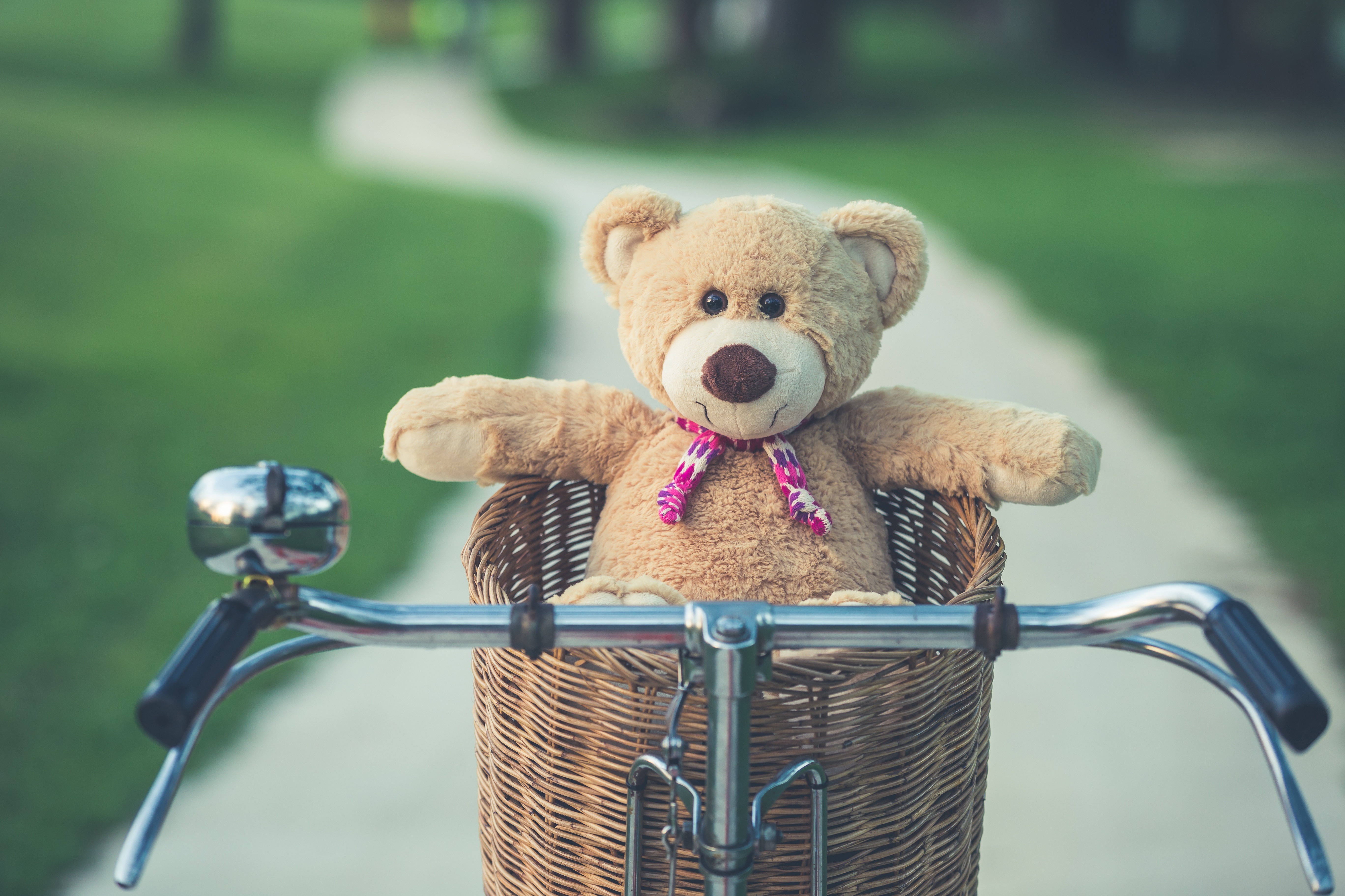 Wallpapers wallpaper teddy bear bicycle vintage on the desktop