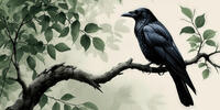 Ворон сидит на ветке дерева среди зелёных листьев.
