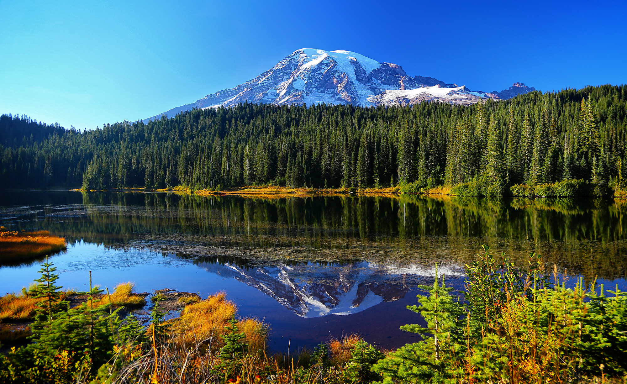 Wallpapers Reflection Lakes Mount Rainier National Park mountains on the desktop