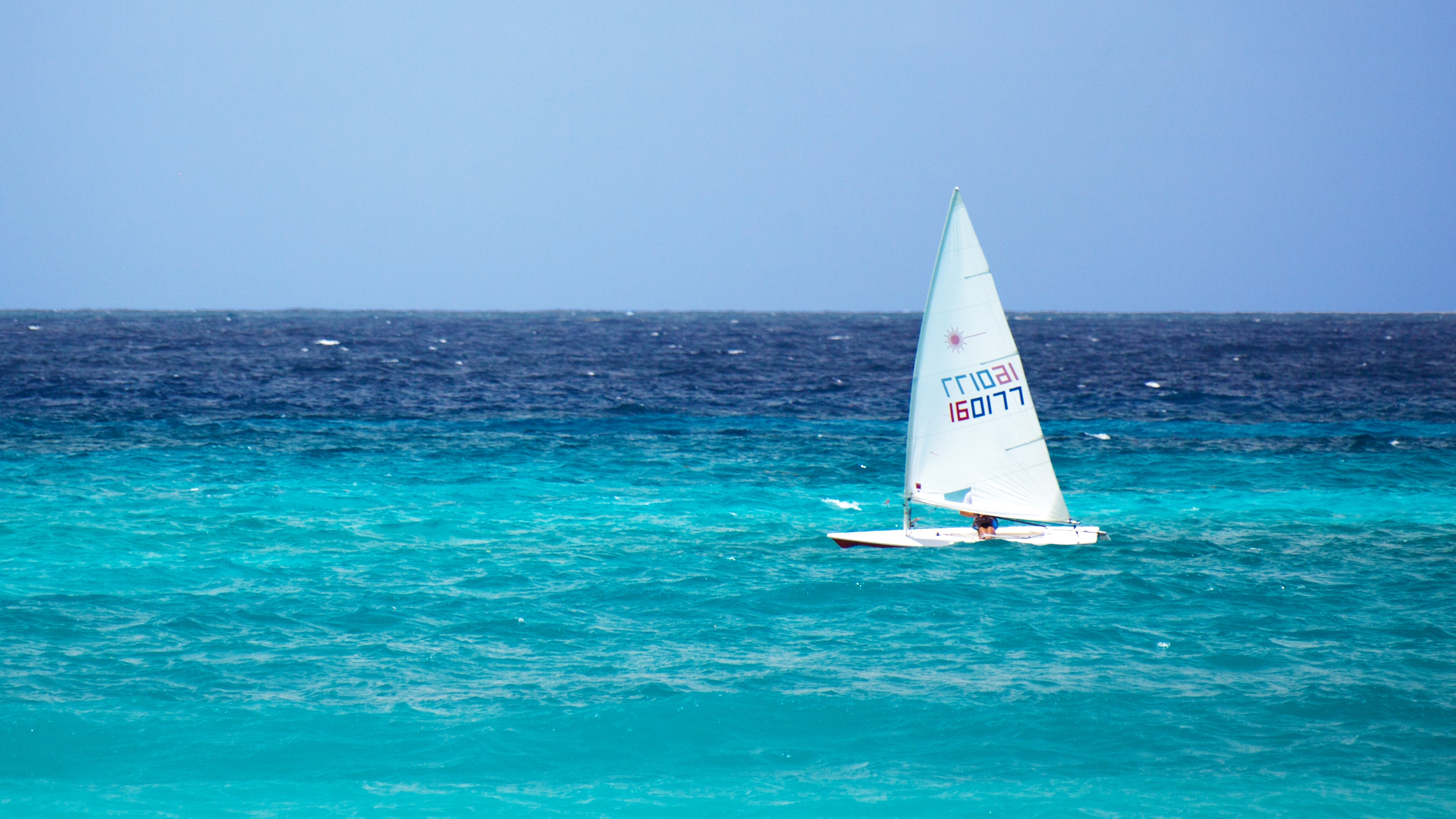 Free photo Surfing with a sail