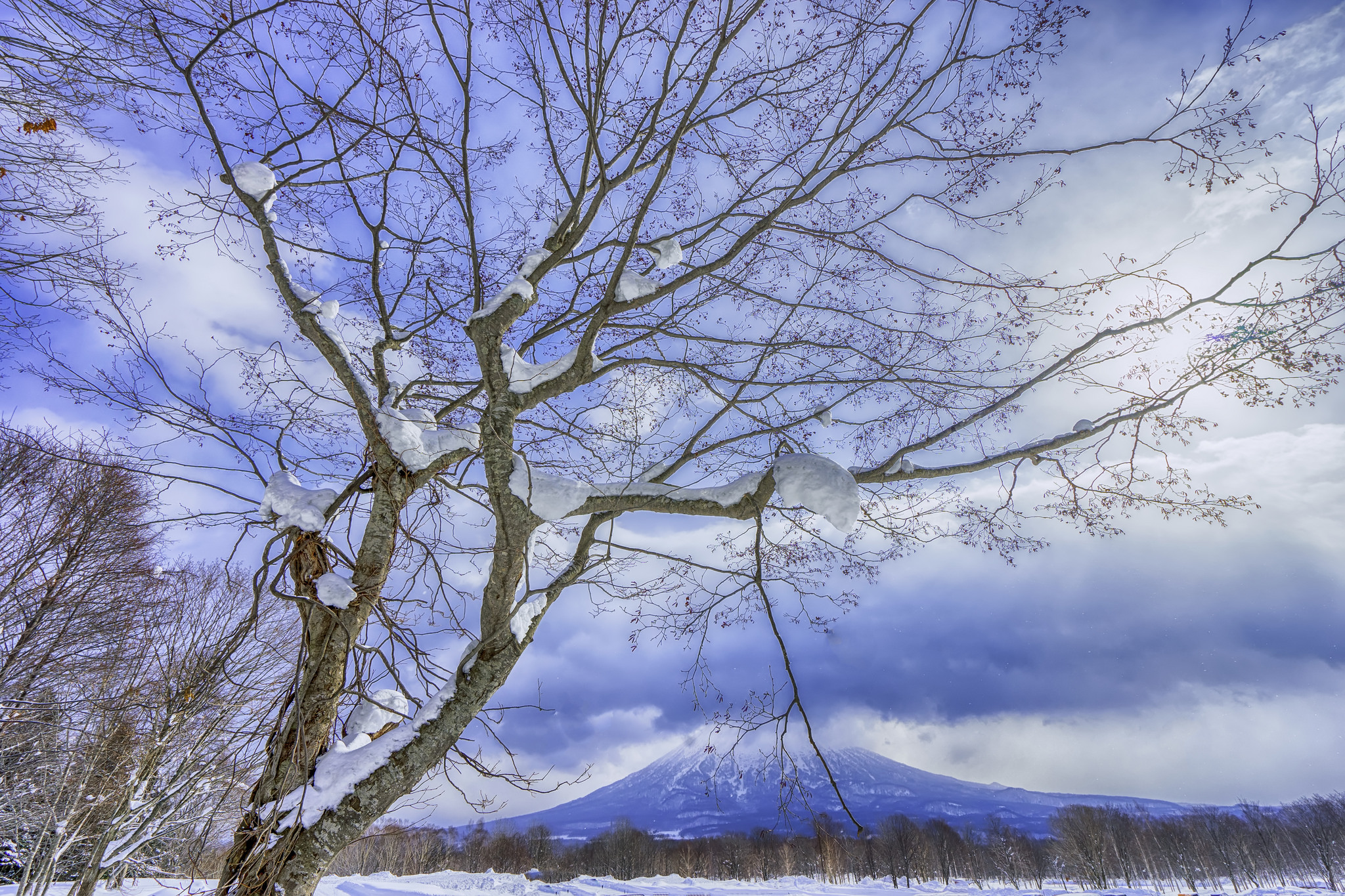 Wallpapers winter volcano trees on the desktop