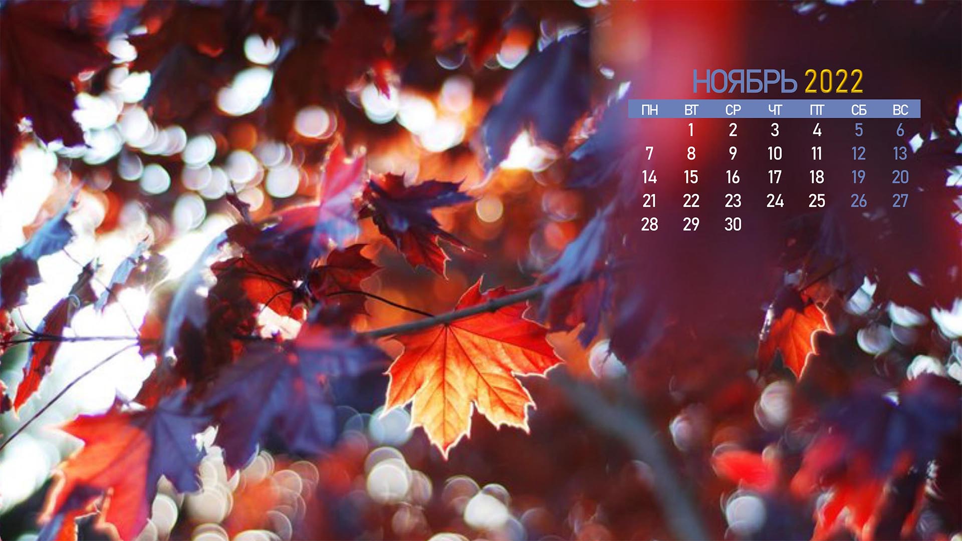 Free photo Calendar for November 2022