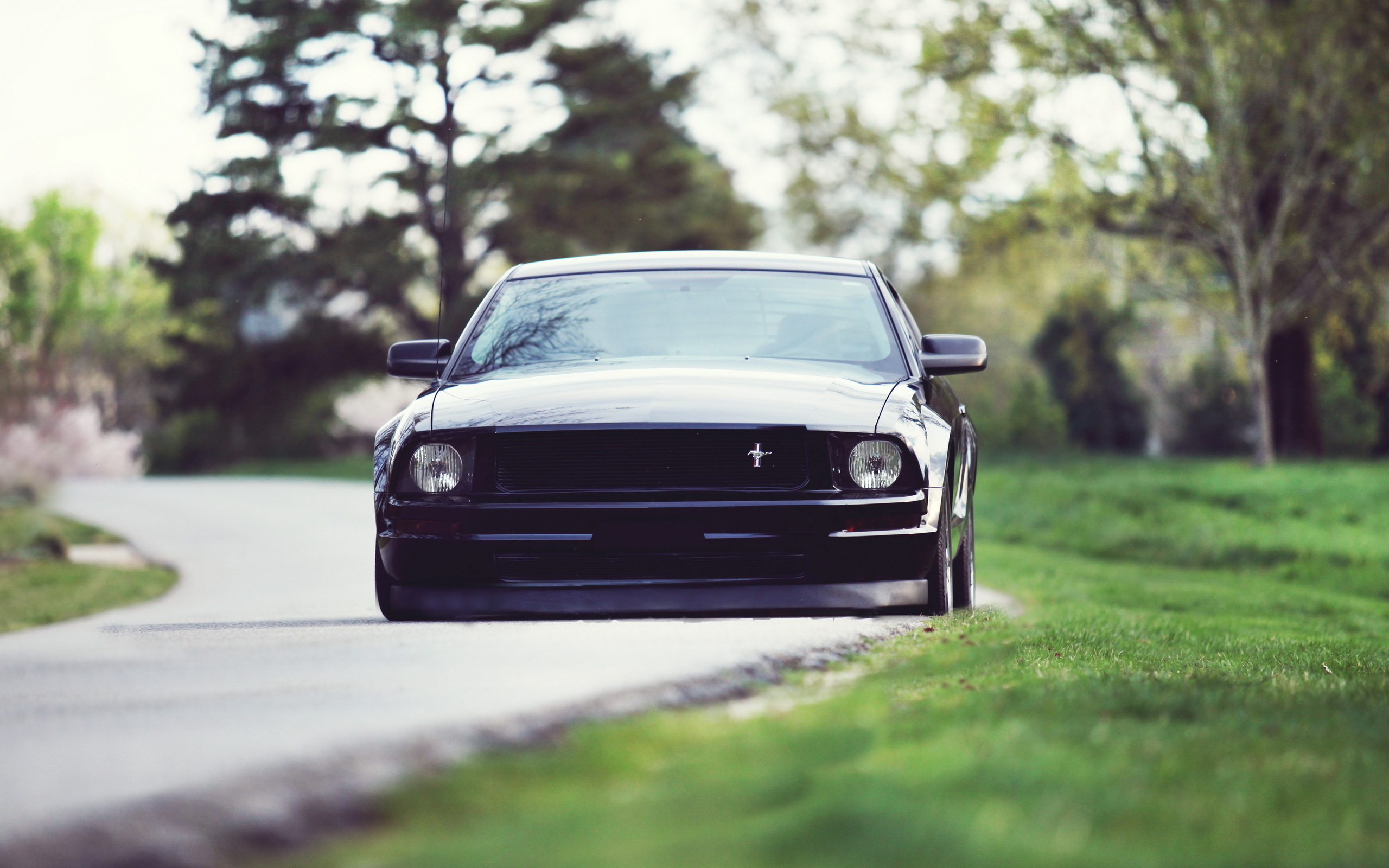 Free photo A black understated ford mustang is parked in the driveway.