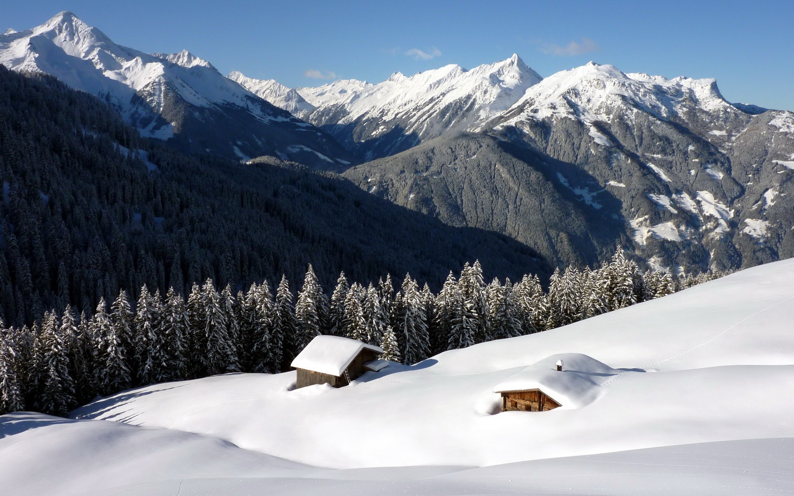 Wallpapers landscape forest snow on the desktop