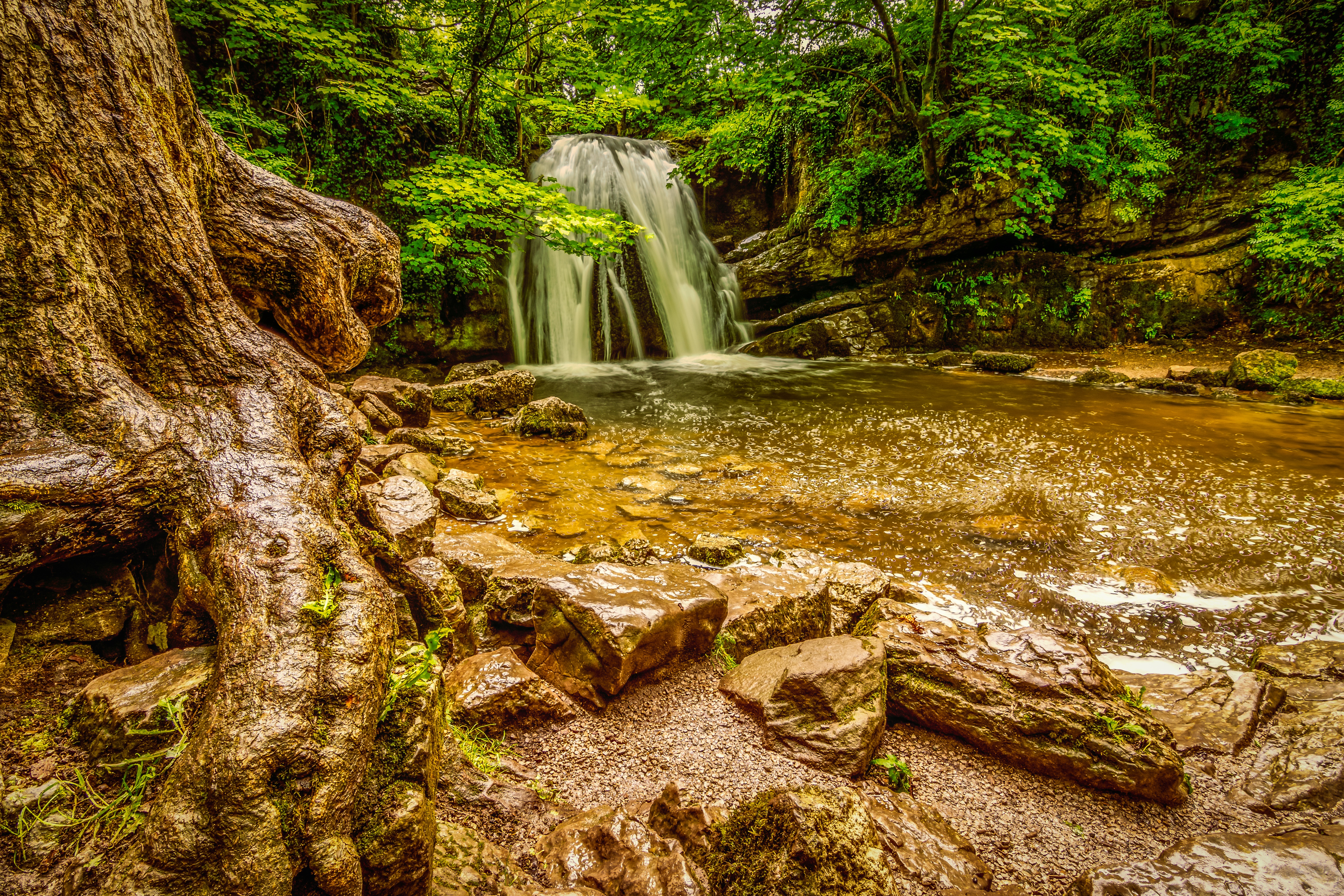 Wallpapers waterfall yorkshire tree roots on the desktop