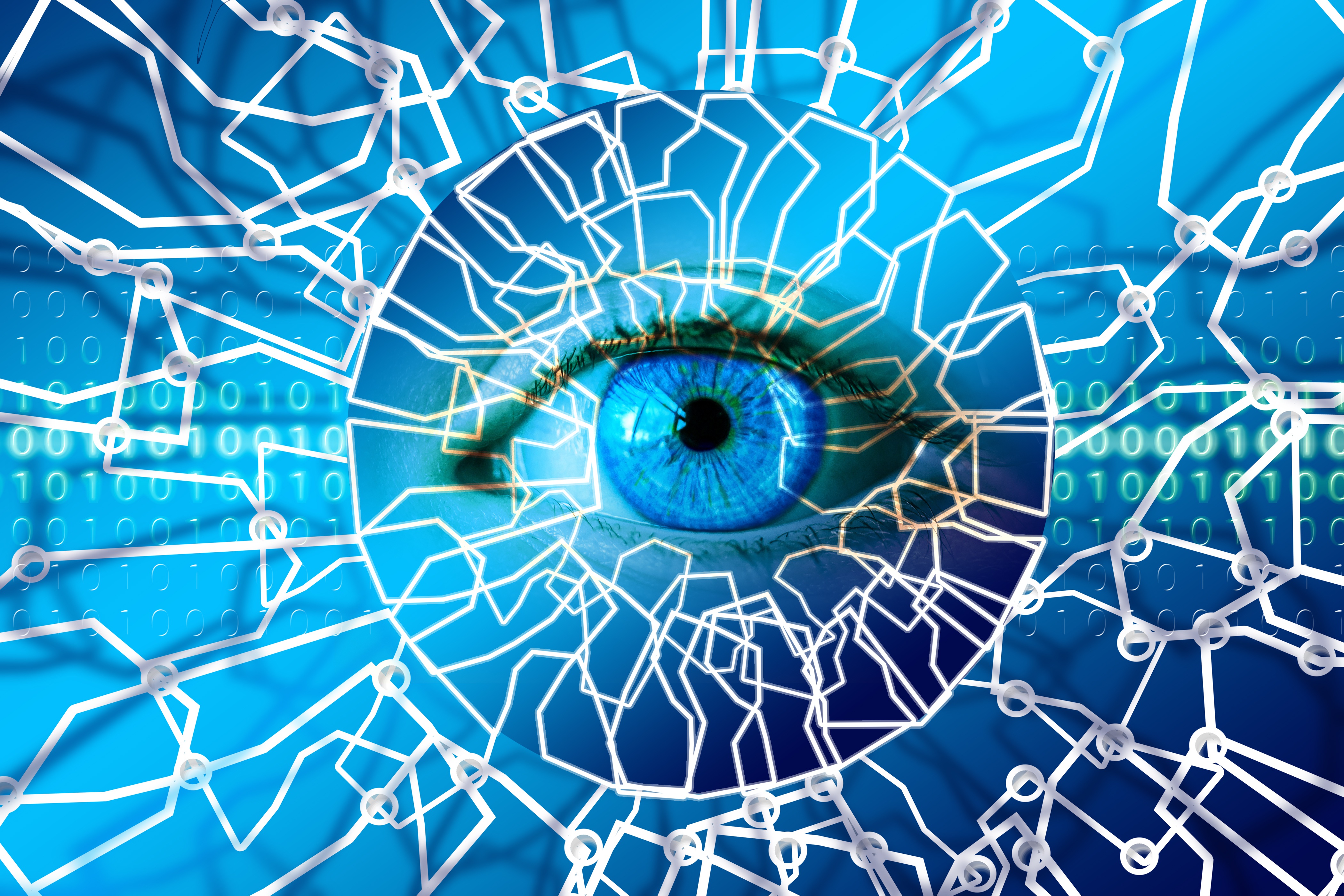 Wallpapers eye network detail macro on the desktop