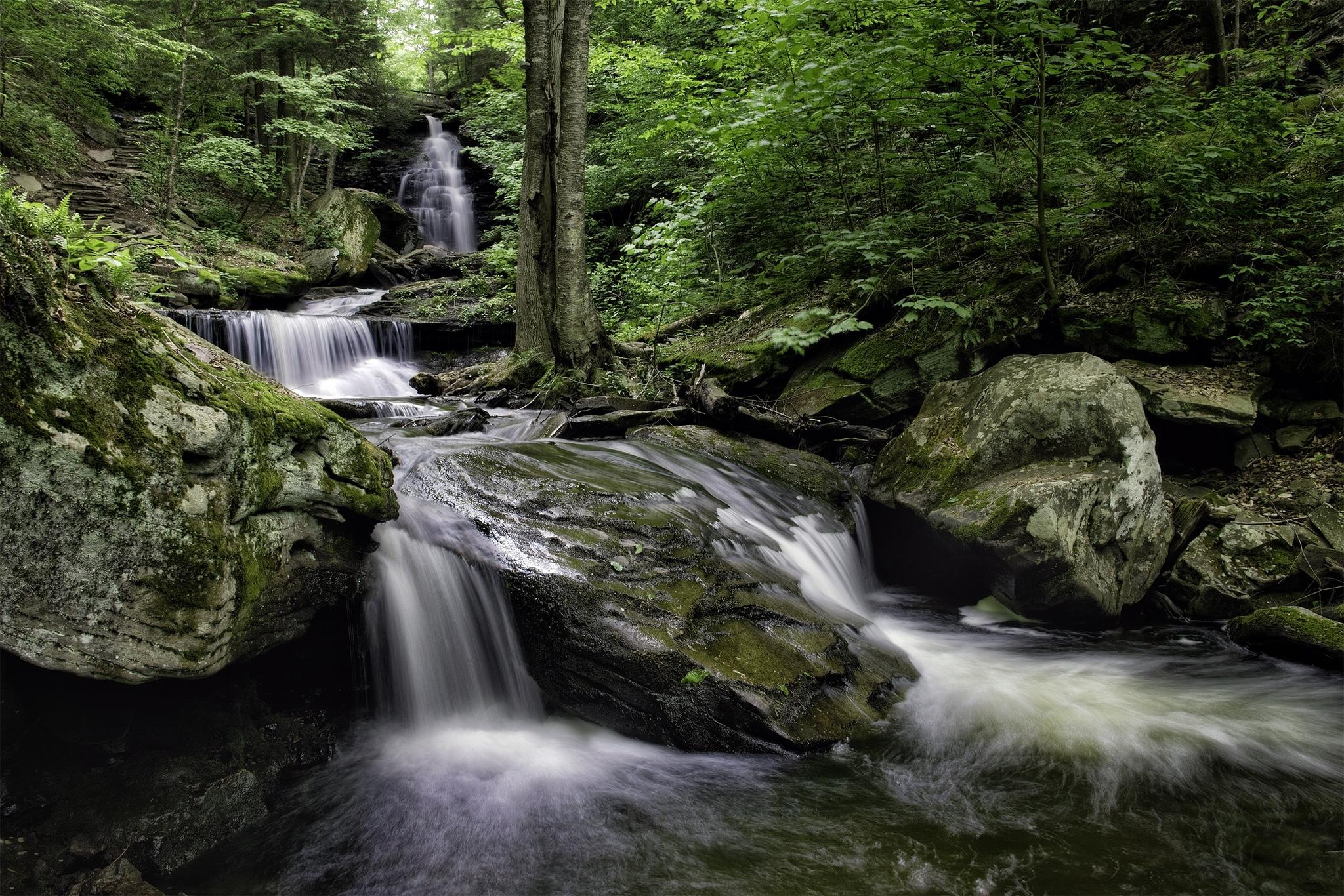 Wallpapers Pennsylvania trees rocks on the desktop