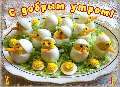 Free postcard Eggs from chickens
