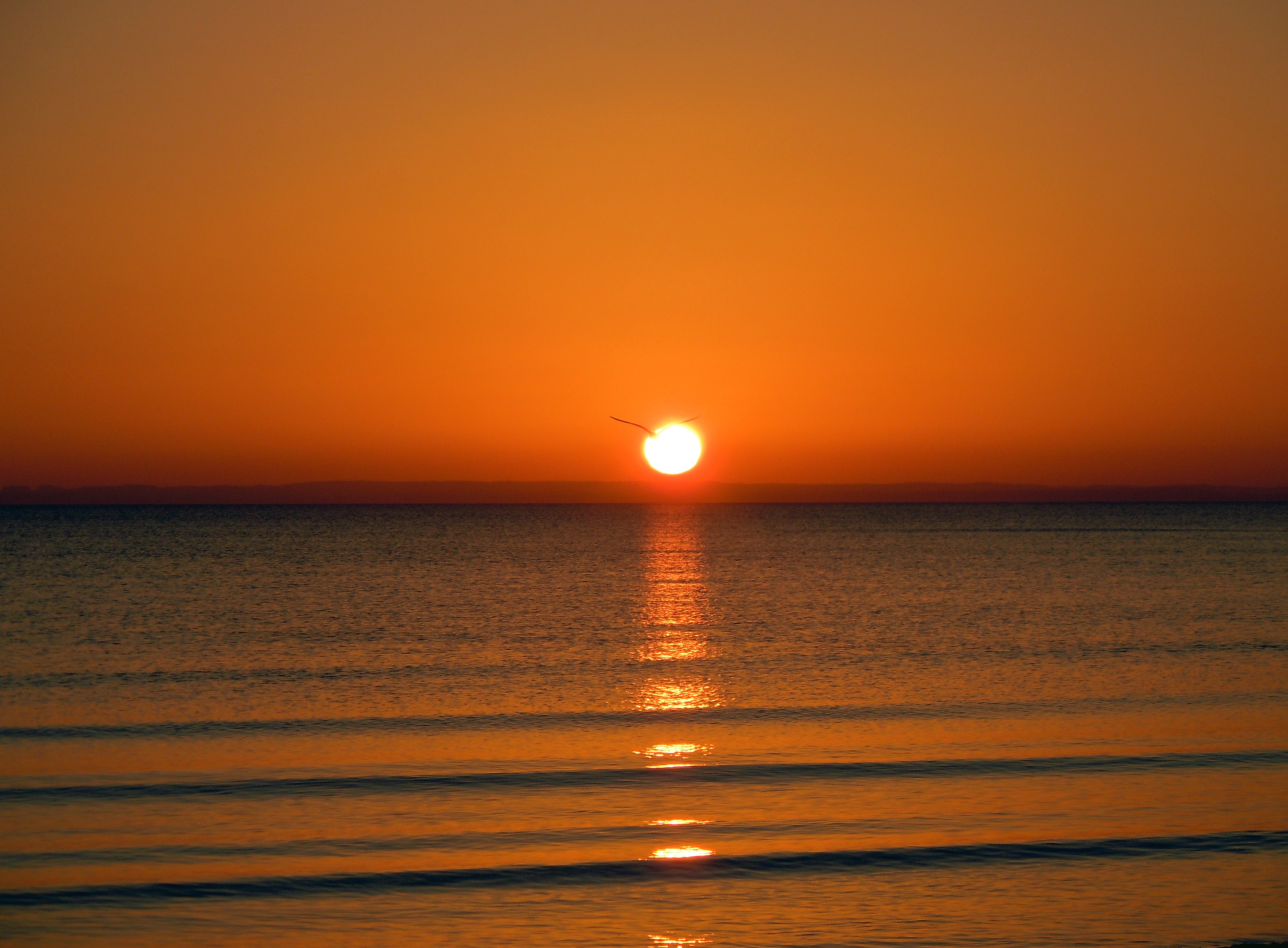 桌面上的壁纸海滩 海 视野